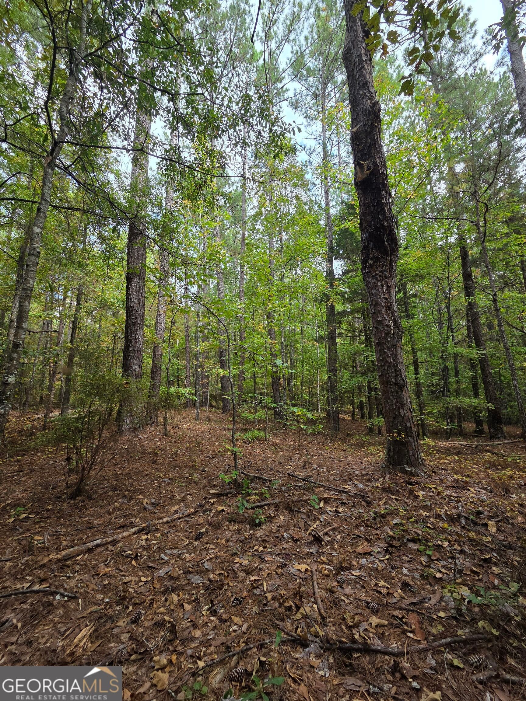 agriculture for sale at 0 Wadley Street, Greenville, GA 30222 — photo 8