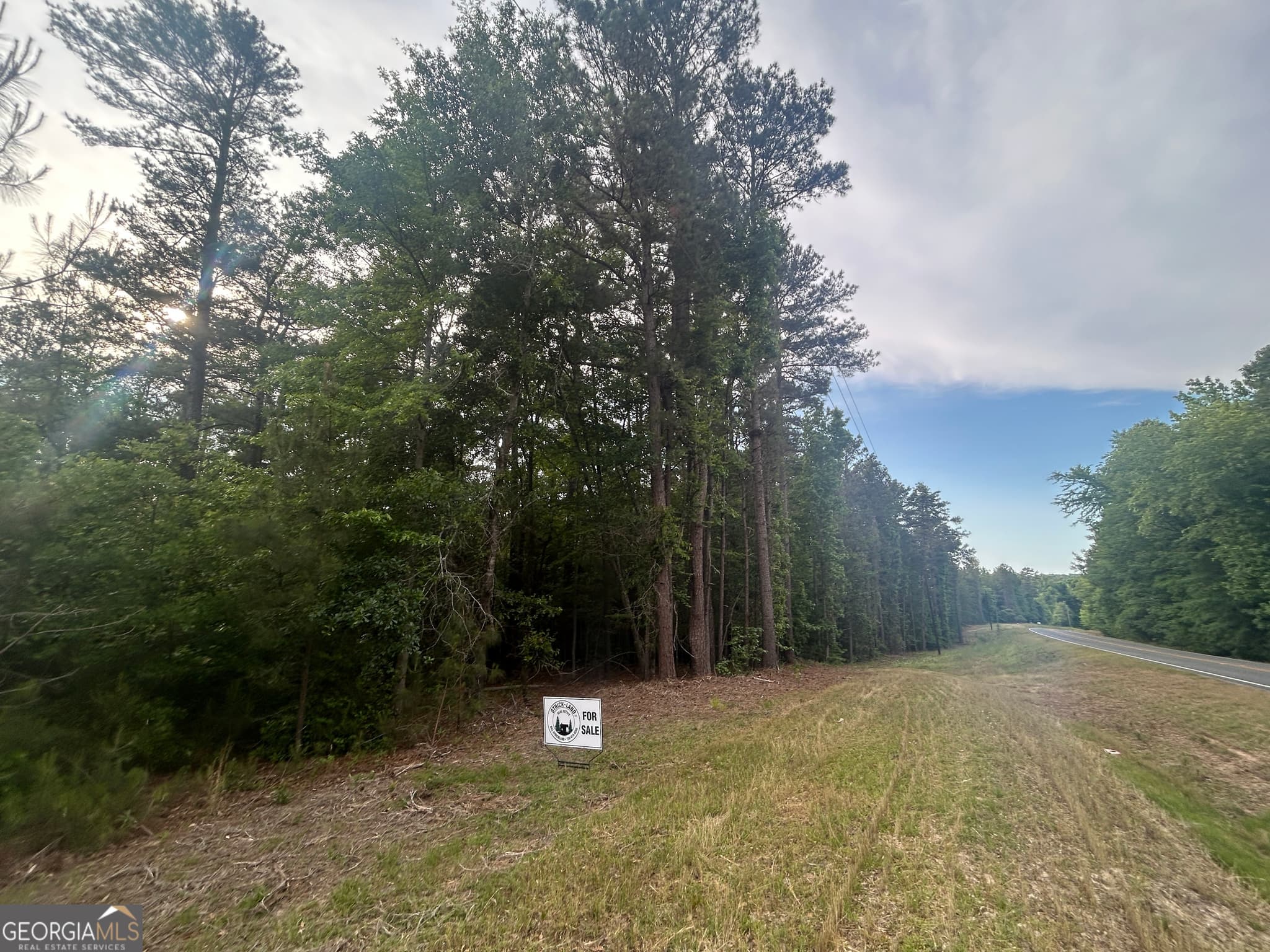residential lot for sale at 0 Sparta Road, Crawfordville, GA 30631 — photo 3