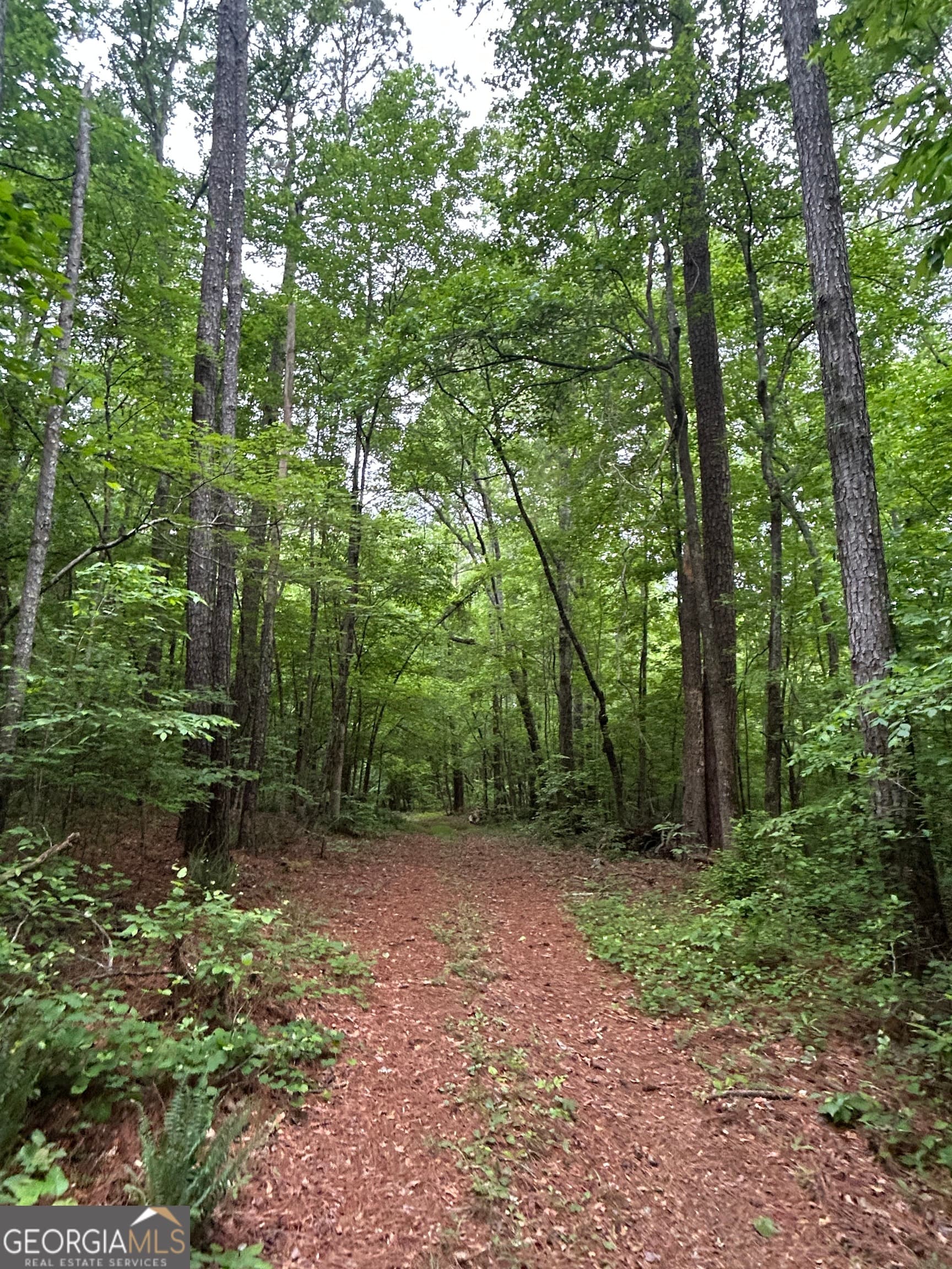 residential lot for sale at 0 Sparta Road, Crawfordville, GA 30631 — photo 4