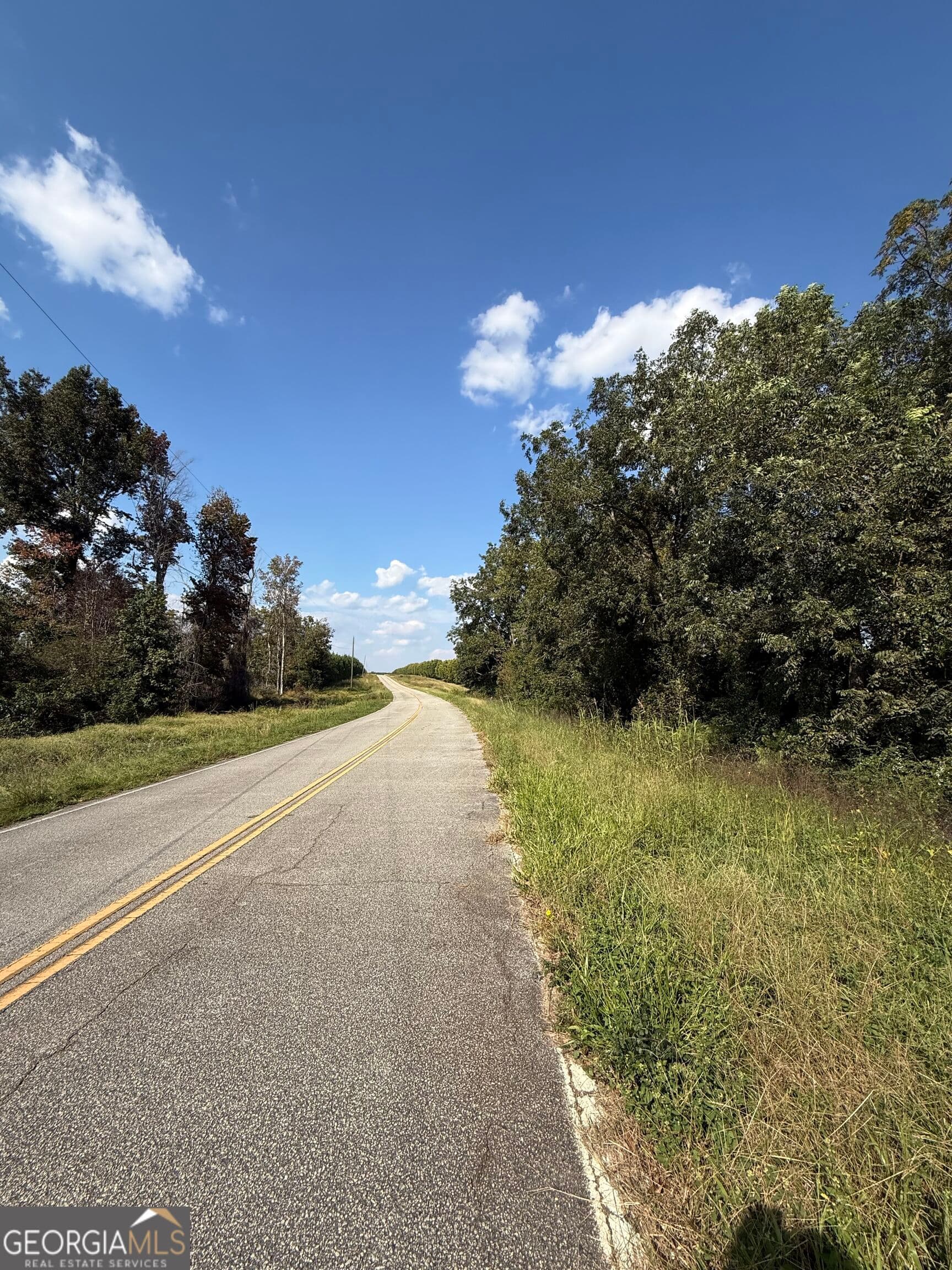 unimproved land for sale at LOT 1 Harrison Davisboro Road, Davisboro, GA 31018 — photo 2