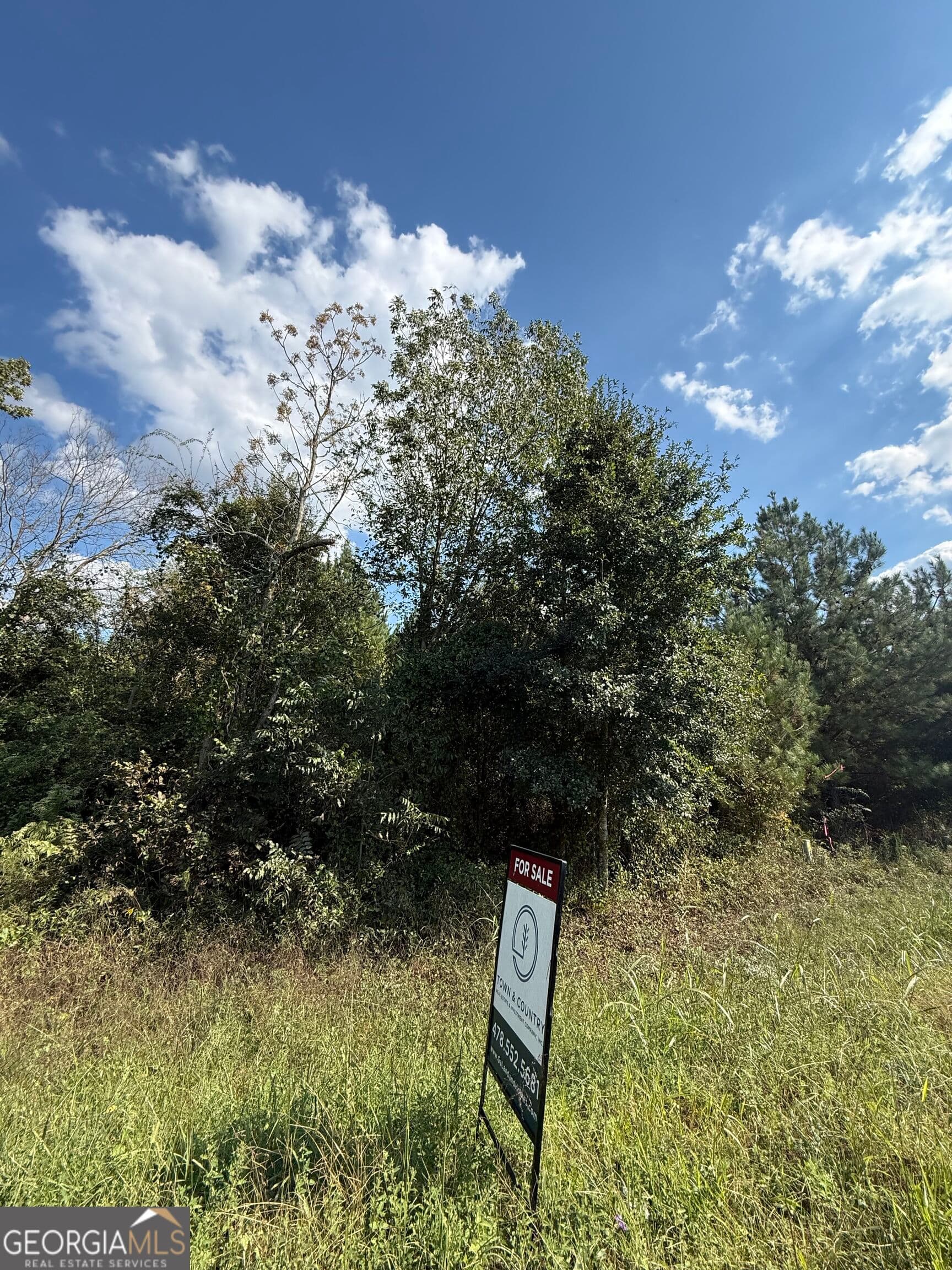unimproved land for sale at LOT 1 Harrison Davisboro Road, Davisboro, GA 31018 — photo 3