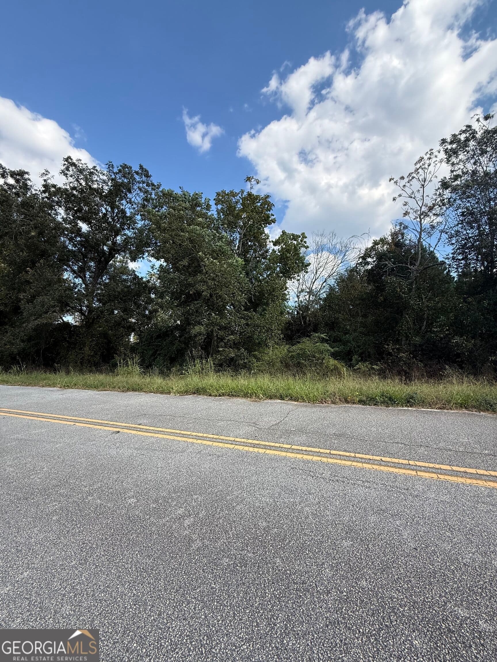 unimproved land for sale at LOT 1 Harrison Davisboro Road, Davisboro, GA 31018 — photo 1 of 5