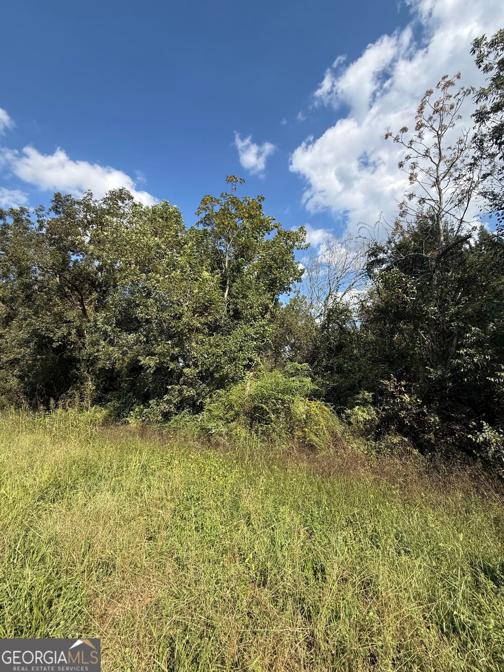 unimproved land for sale at LOT 1 Harrison Davisboro Road, Davisboro, GA 31018 — photo 5