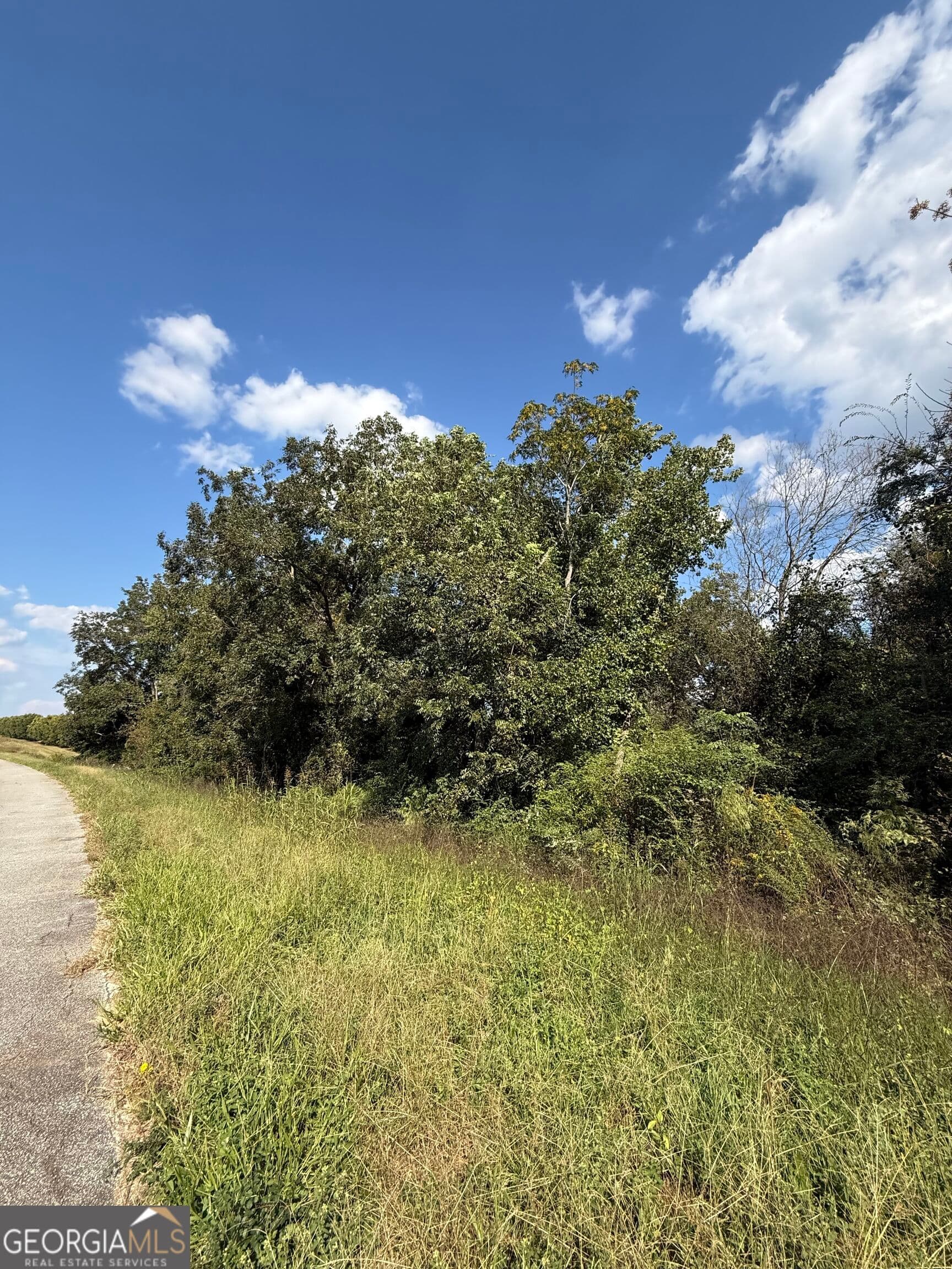 unimproved land for sale at LOT 1 Harrison Davisboro Road, Davisboro, GA 31018 — photo 4