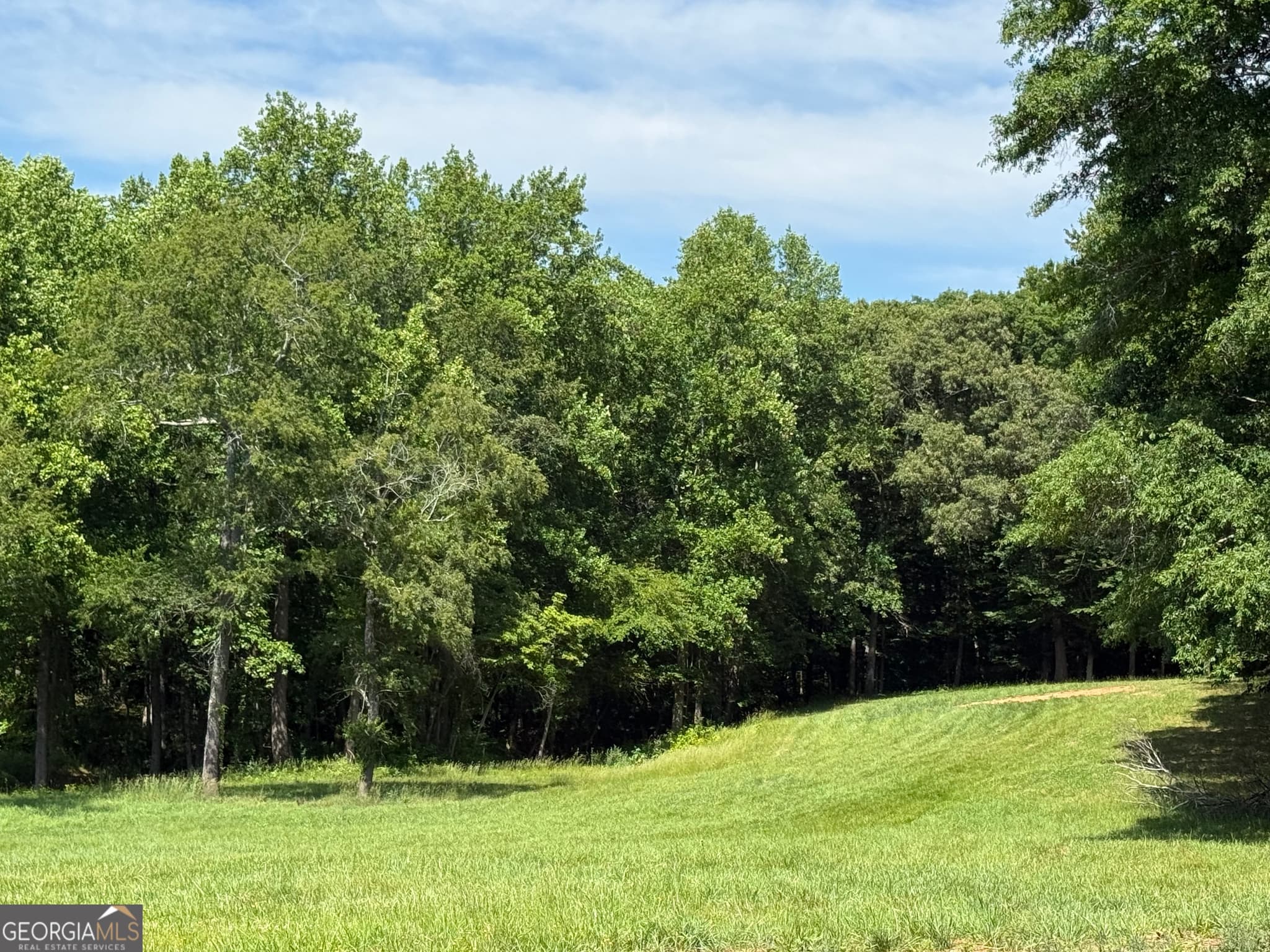 3 bedroom, 2 bathroom, 1,680 sq ft single family residence for sale at 603 Wall Bridge Road, Clarkesville, GA 30523 — photo 3