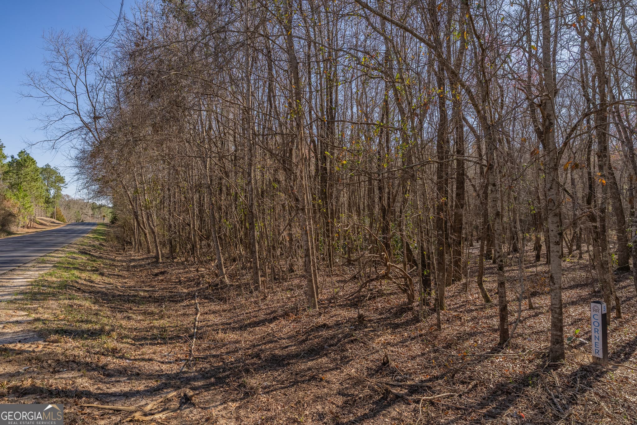 residential lot for sale at LOT 6 Golf Course Road, Eastman, GA 31023 — photo 6