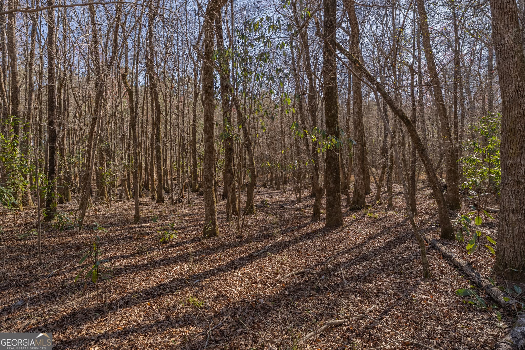 residential lot for sale at LOT 6 Golf Course Road, Eastman, GA 31023 — photo 7