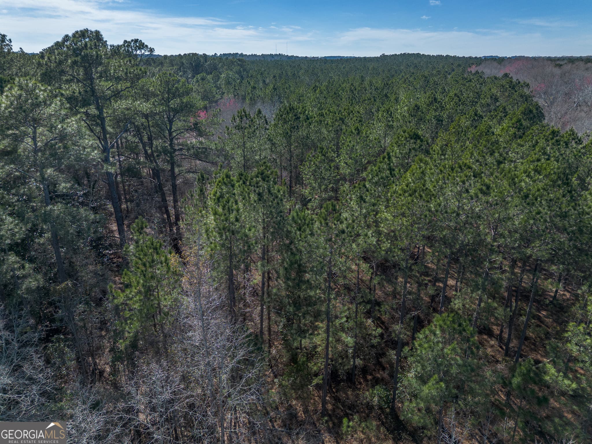 residential lot for sale at LOT 6 Golf Course Road, Eastman, GA 31023 — photo 5