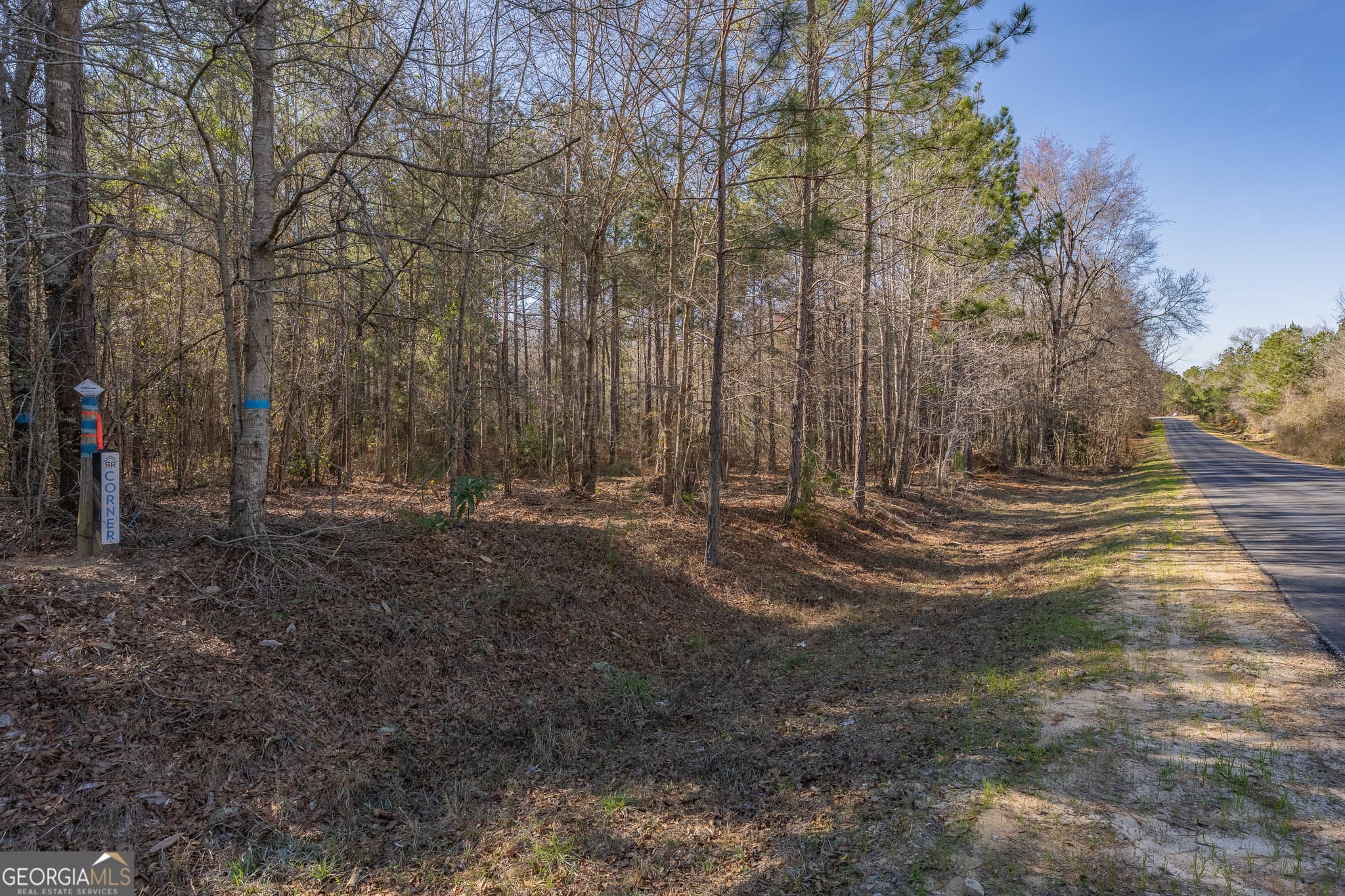 residential lot for sale at LOT 6 Golf Course Road, Eastman, GA 31023 — photo 9