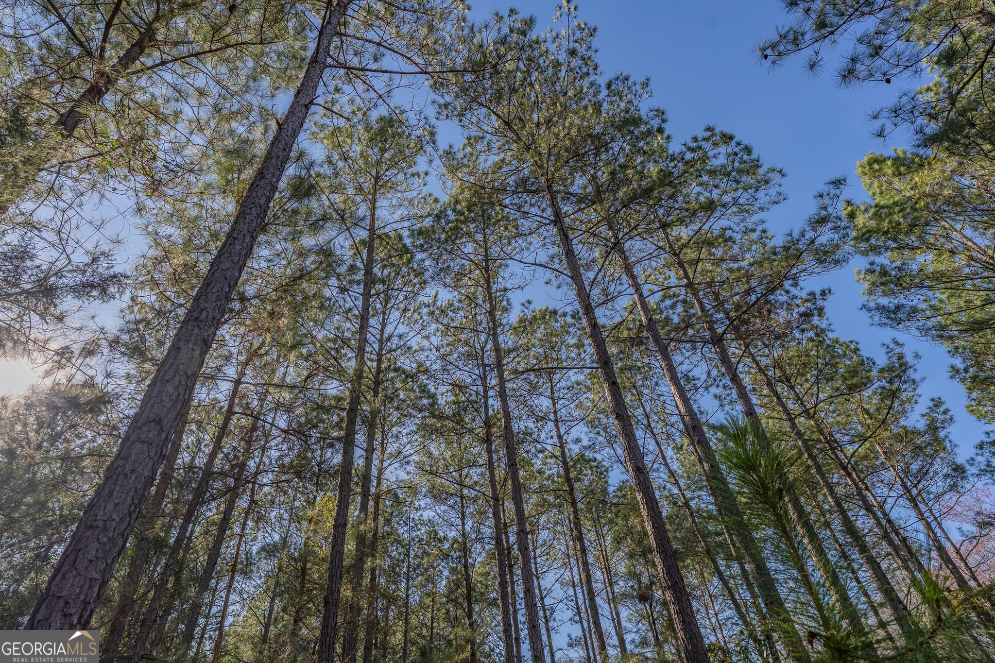 residential lot for sale at LOT 6 Golf Course Road, Eastman, GA 31023 — photo 10