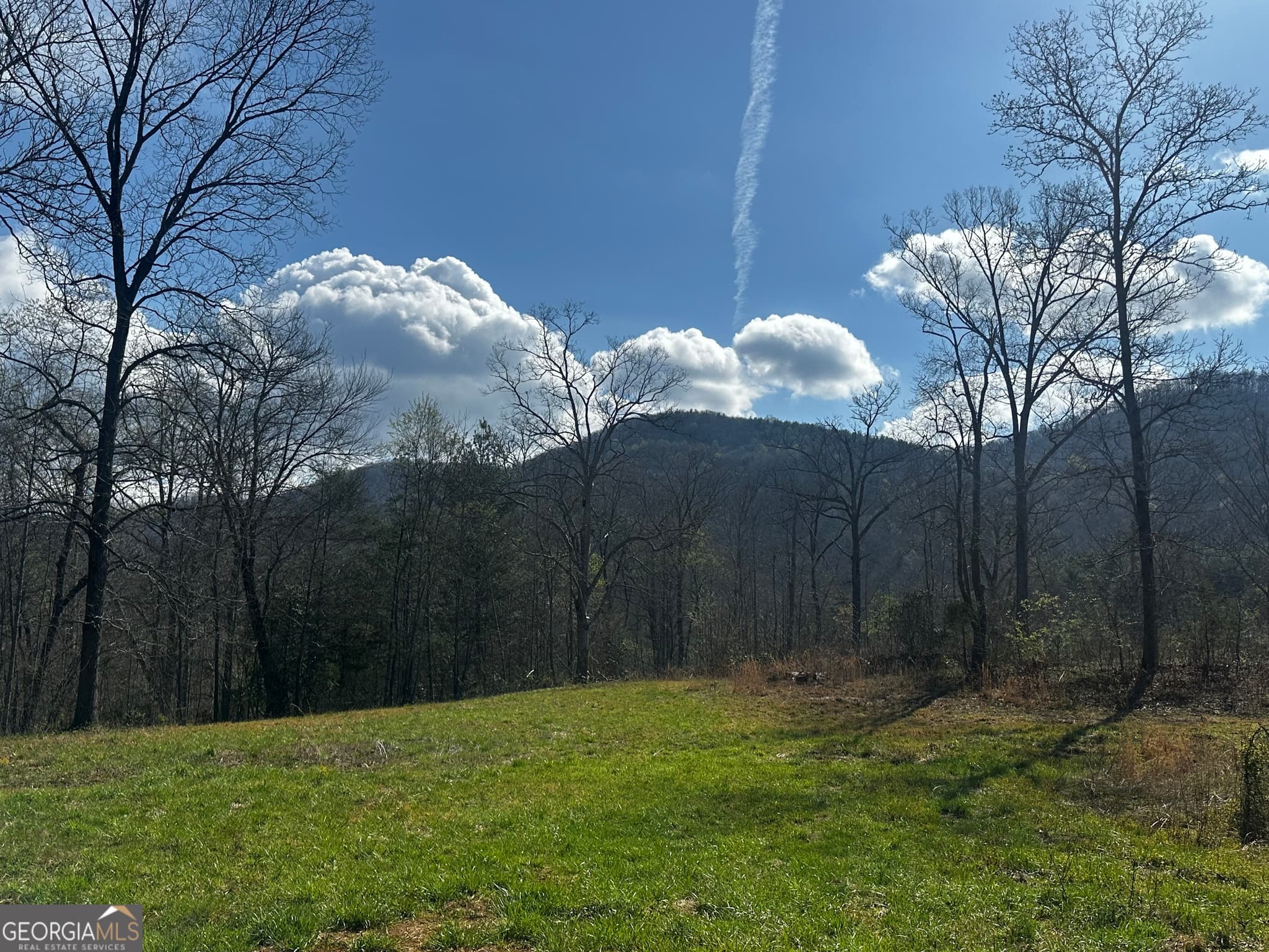 unimproved land for sale at 0 Georgia Road, Otto, NC 28763 — photo 2