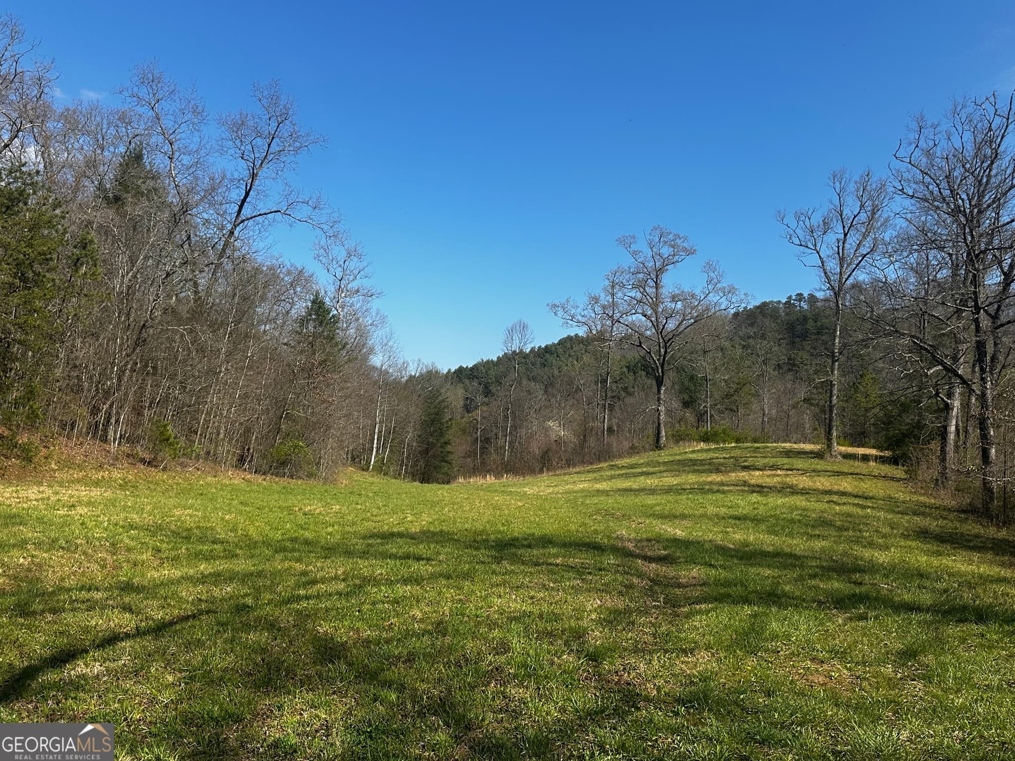 unimproved land for sale at 0 Georgia Road, Otto, NC 28763 — photo 6