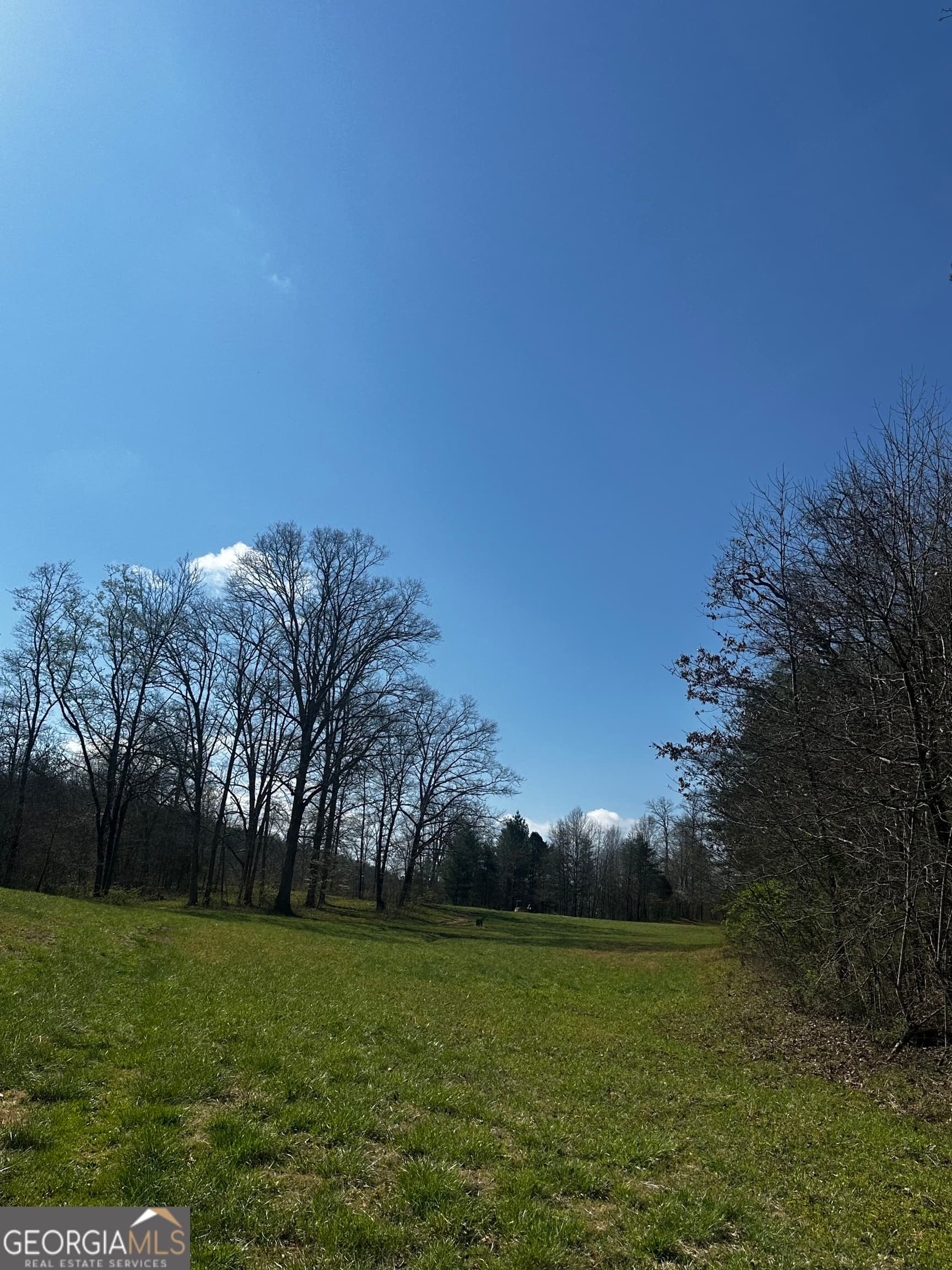unimproved land for sale at 0 Georgia Road, Otto, NC 28763 — photo 7