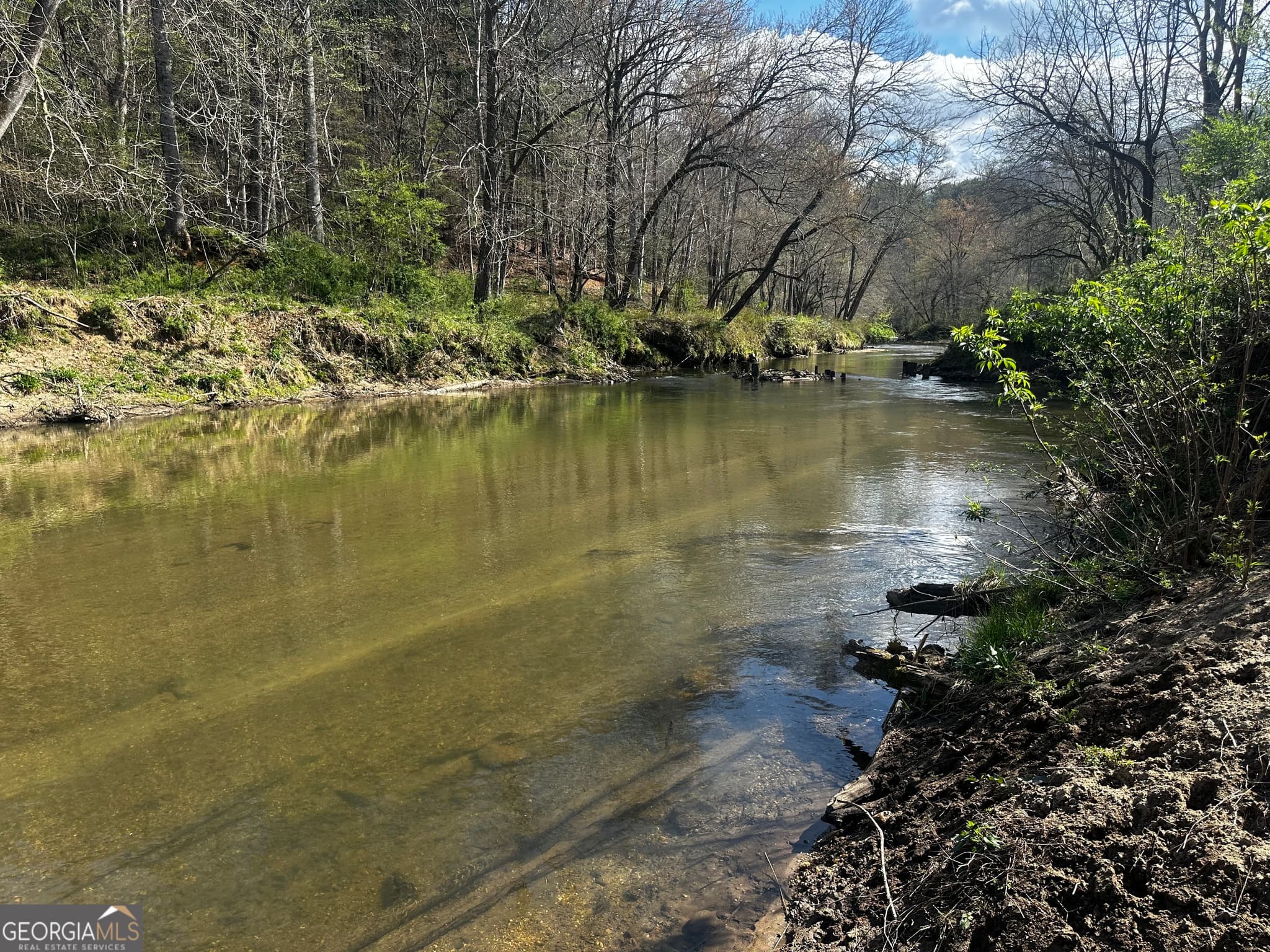 unimproved land for sale at 0 Georgia Road, Otto, NC 28763 — photo 3