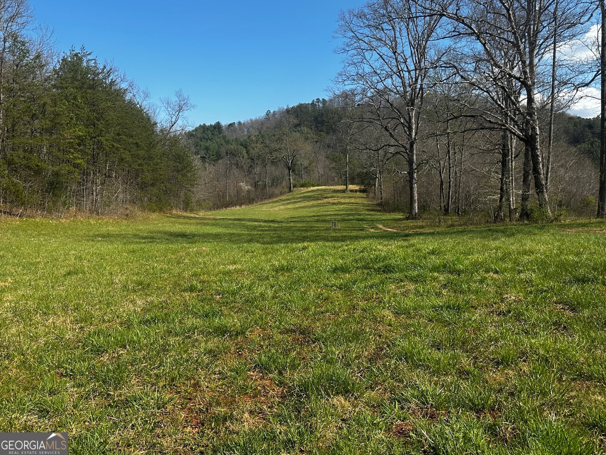 unimproved land for sale at 0 Georgia Road, Otto, NC 28763