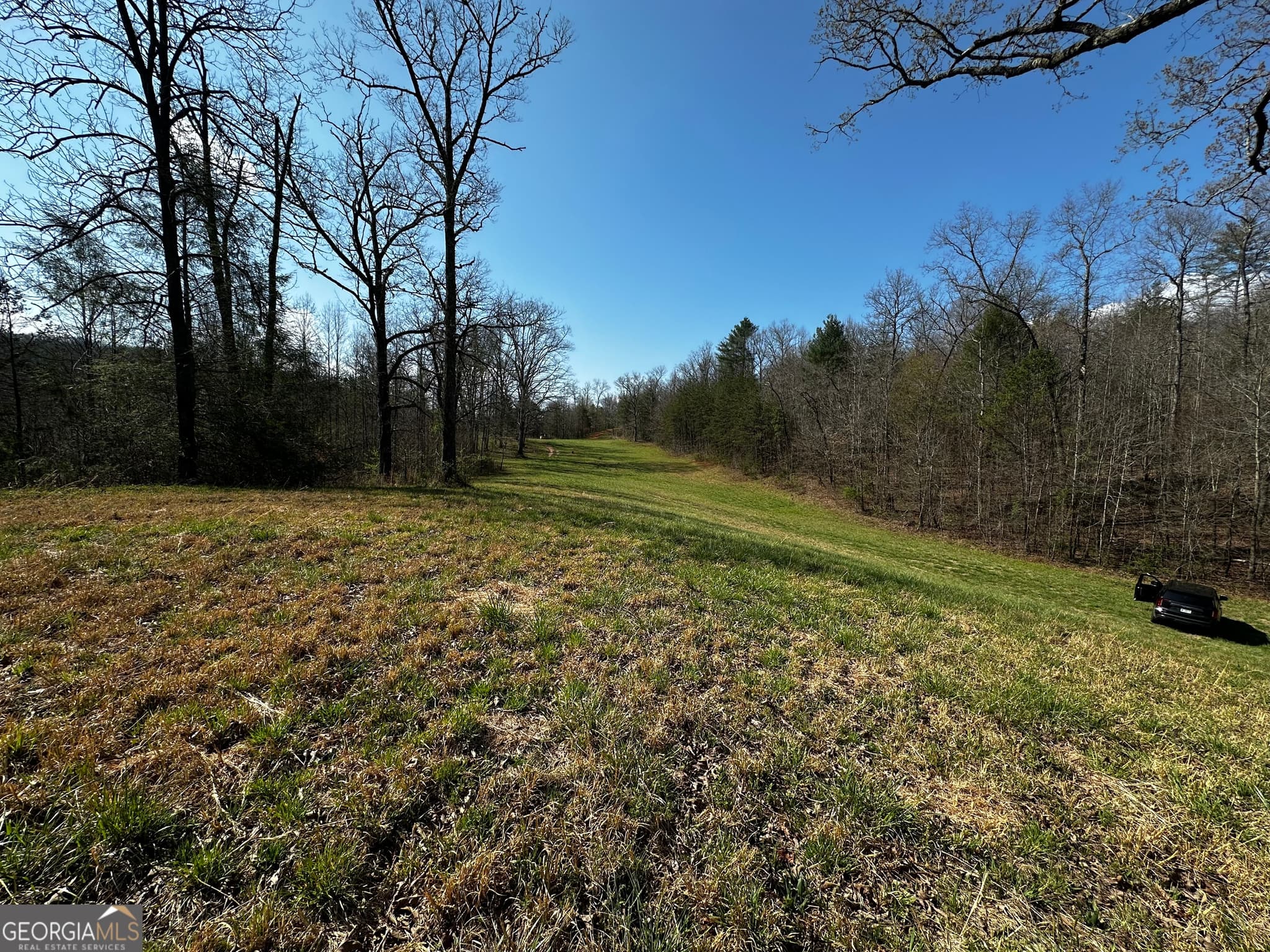 unimproved land for sale at 0 Georgia Road, Otto, NC 28763 — photo 5
