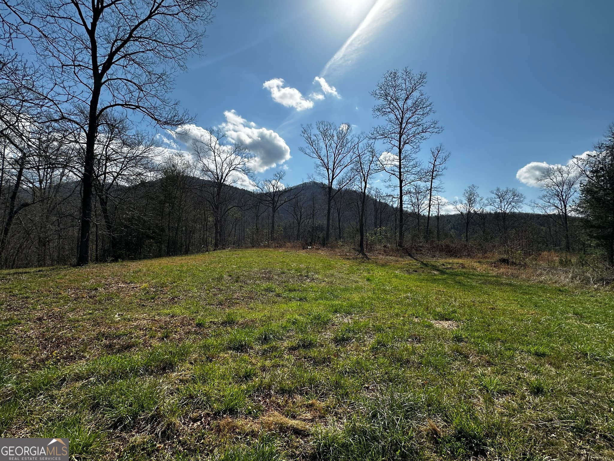 unimproved land for sale at 0 Georgia Road, Otto, NC 28763 — photo 9