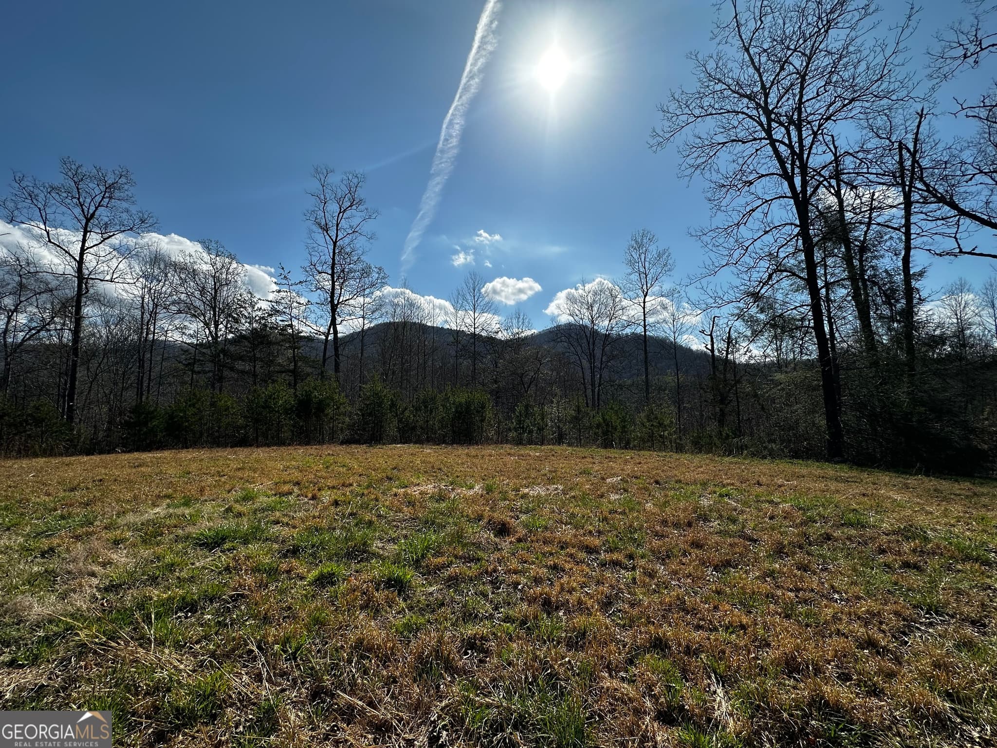 unimproved land for sale at 0 Georgia Road, Otto, NC 28763 — photo 10