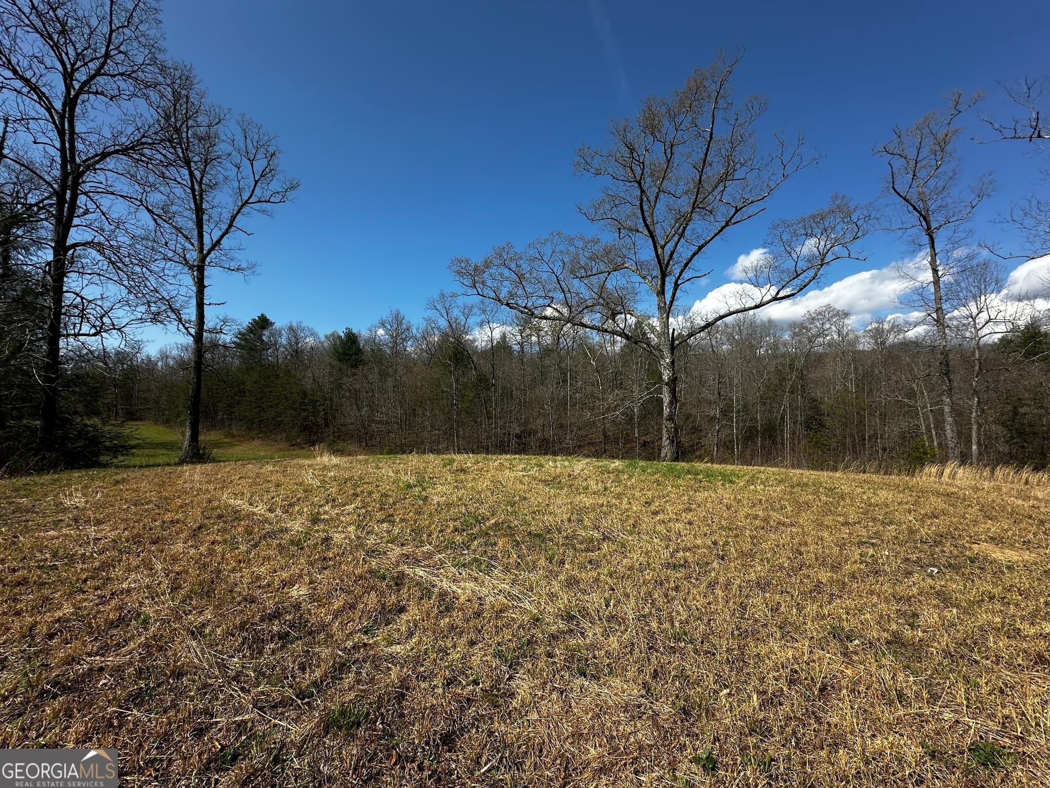 unimproved land for sale at 0 Georgia Road, Otto, NC 28763 — photo 8