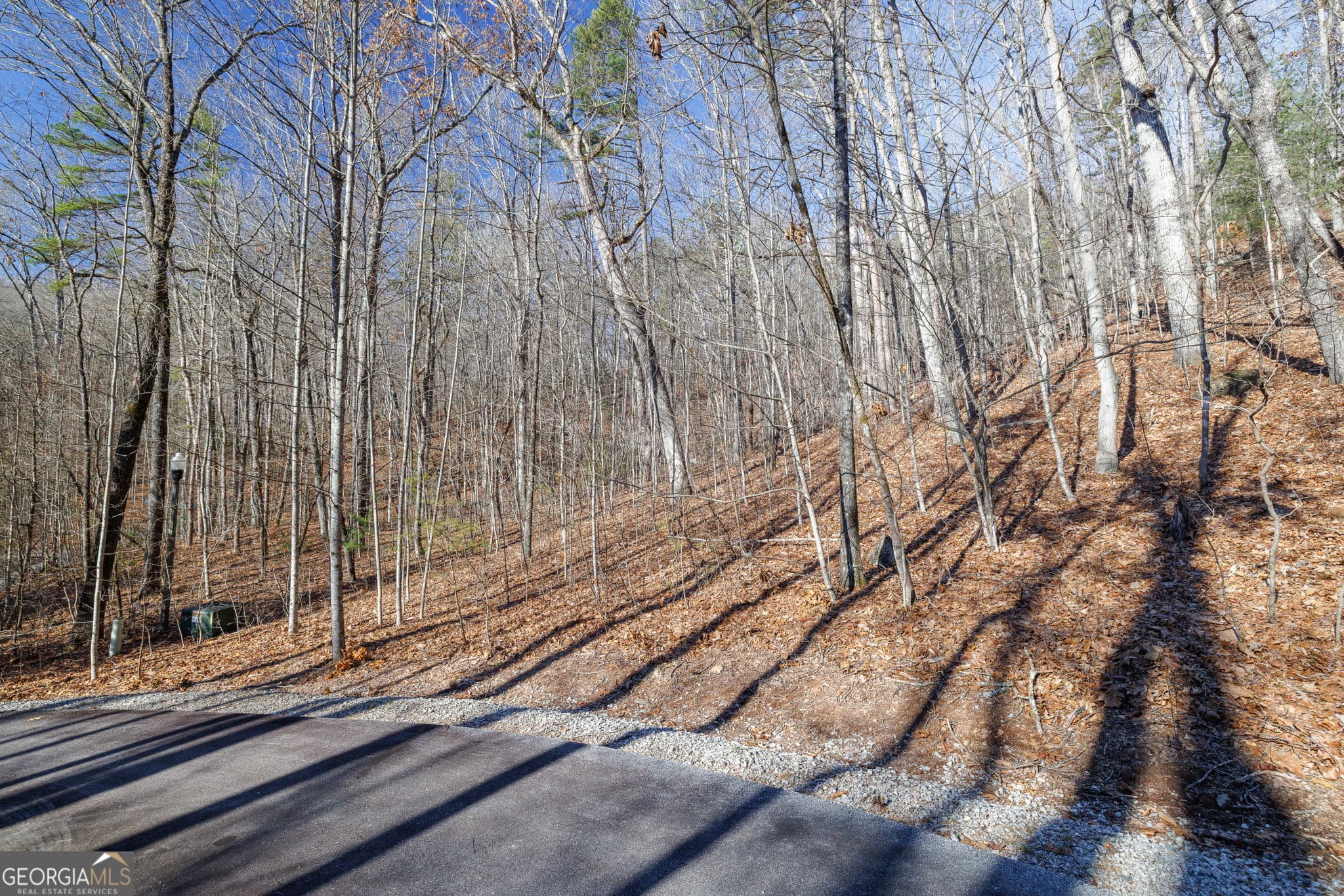 residential lot for sale at 0 Forest Canopy Way 11, Clayton, GA 30525 — photo 6
