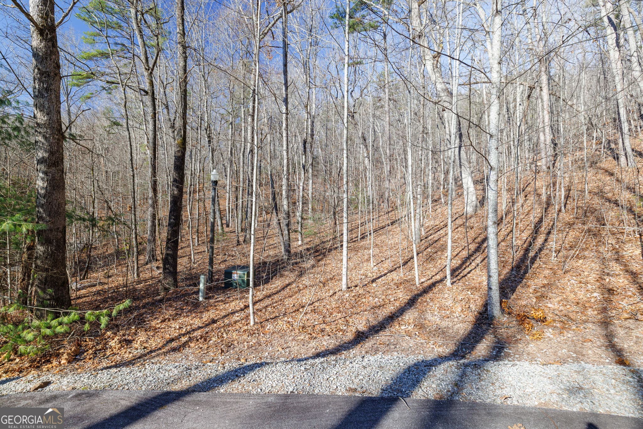 residential lot for sale at 0 Forest Canopy Way 11, Clayton, GA 30525 — photo 7