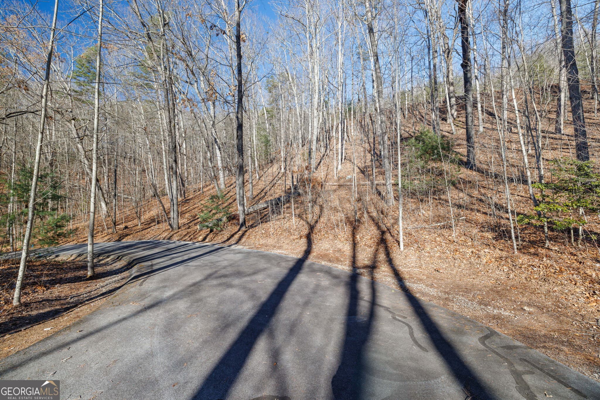 residential lot for sale at 0 Forest Canopy Way 11, Clayton, GA 30525 — photo 3
