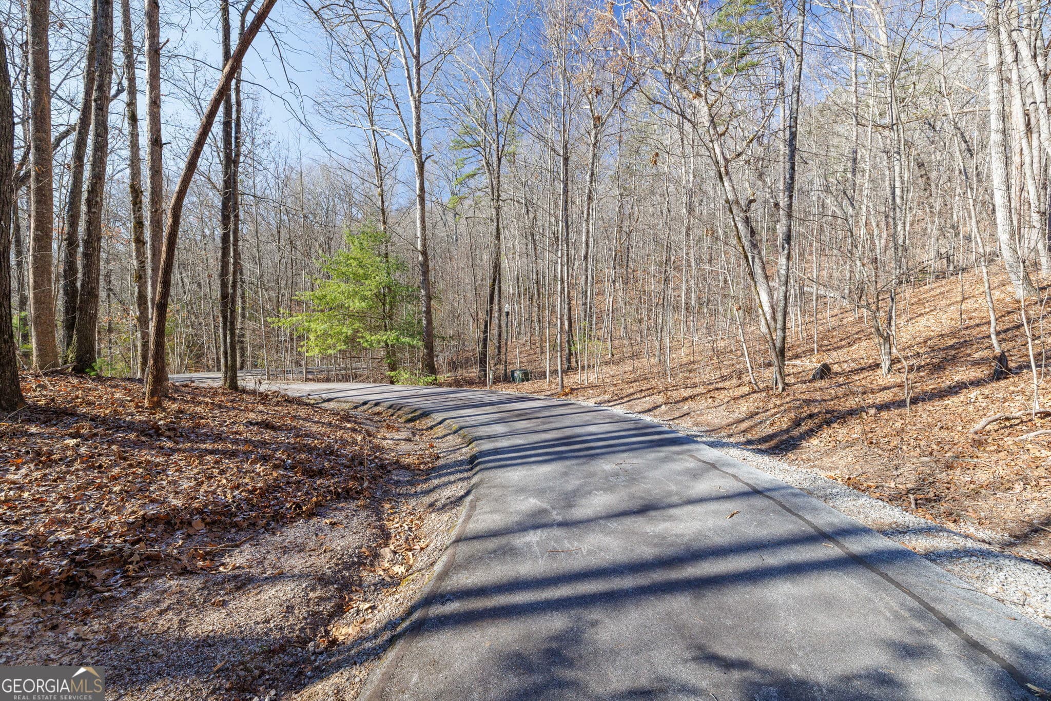 residential lot for sale at 0 Forest Canopy Way 11, Clayton, GA 30525 — photo 5