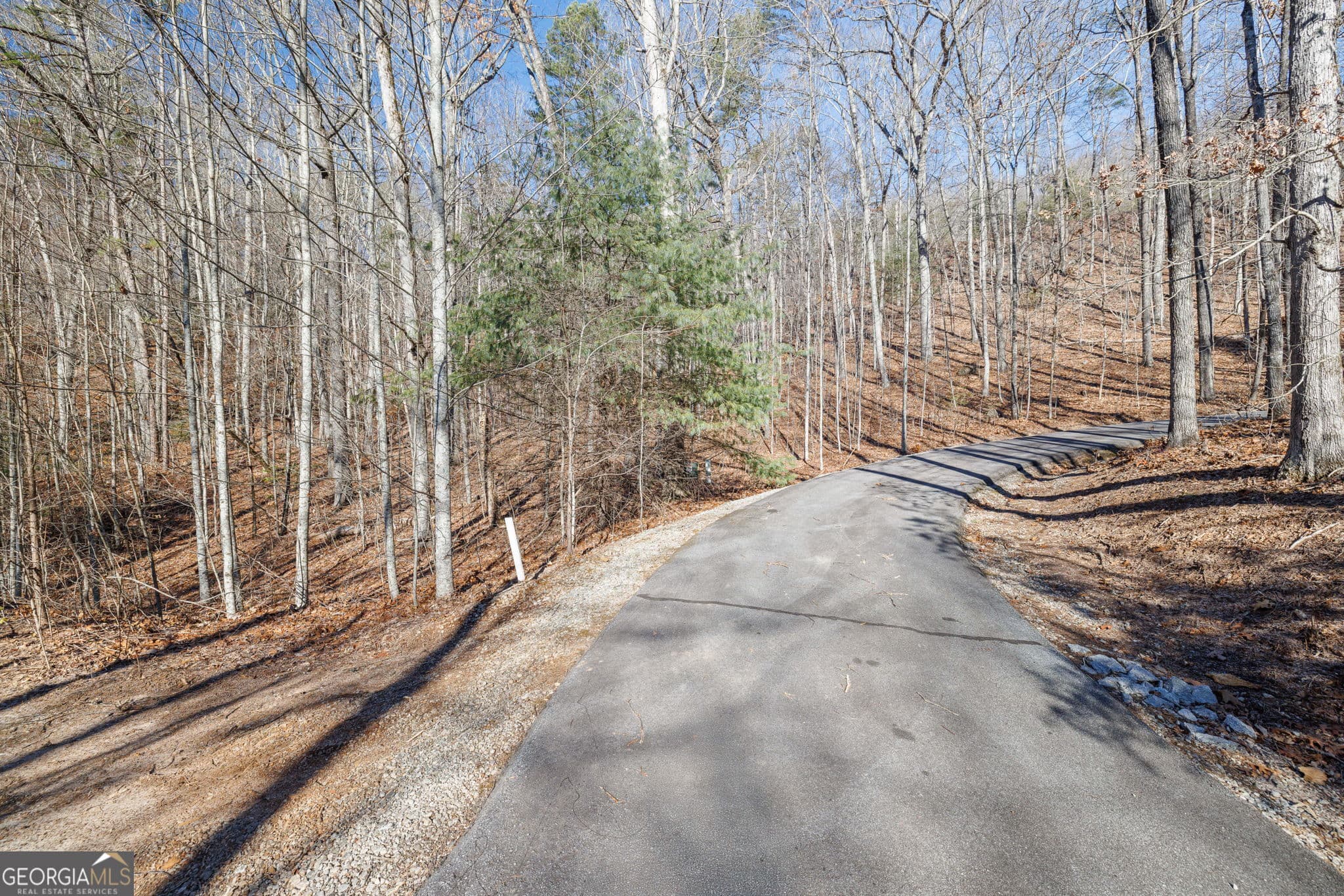 residential lot for sale at 0 Forest Canopy Way 11, Clayton, GA 30525 — photo 9