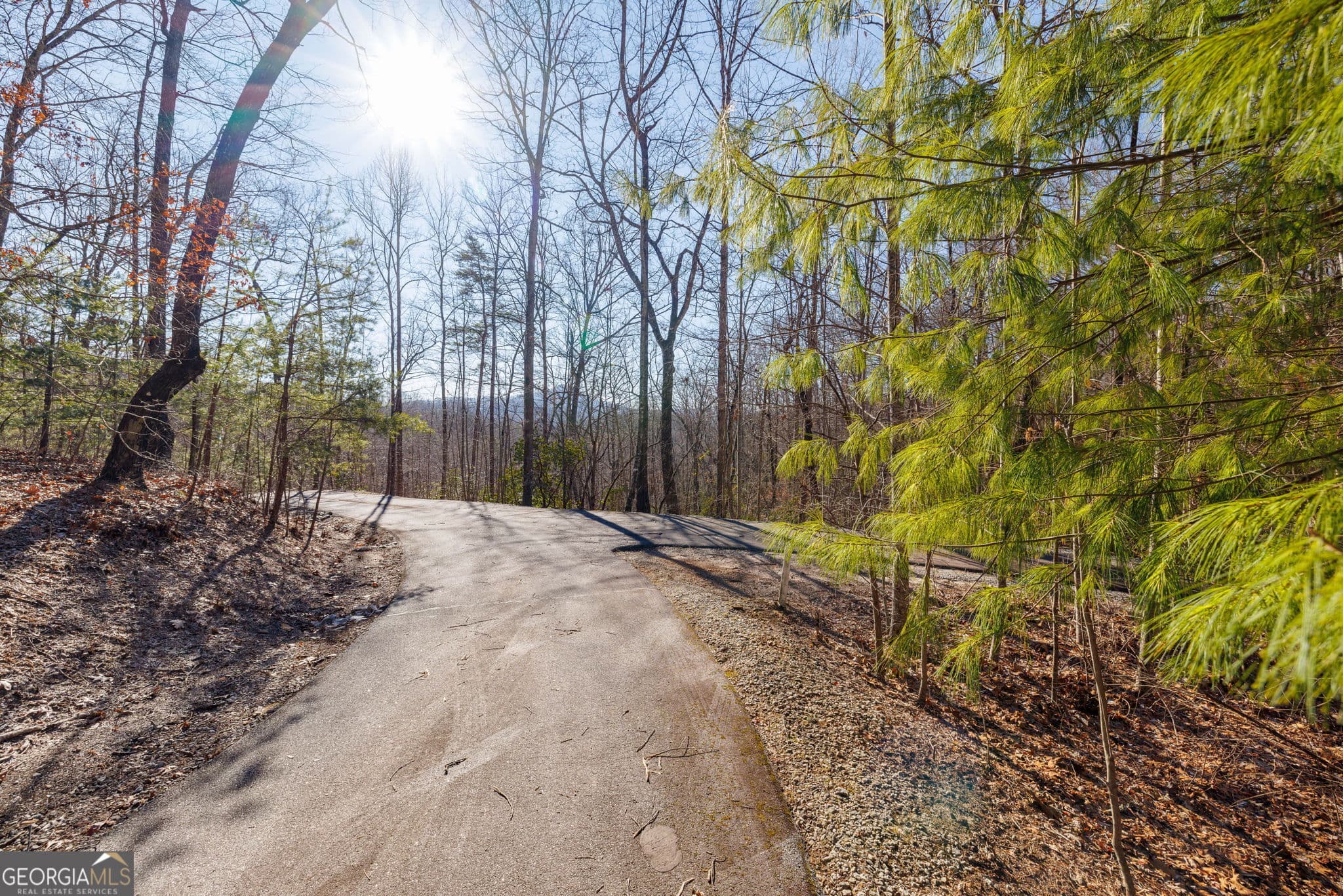 residential lot for sale at 0 Forest Canopy Way 11, Clayton, GA 30525 — photo 10