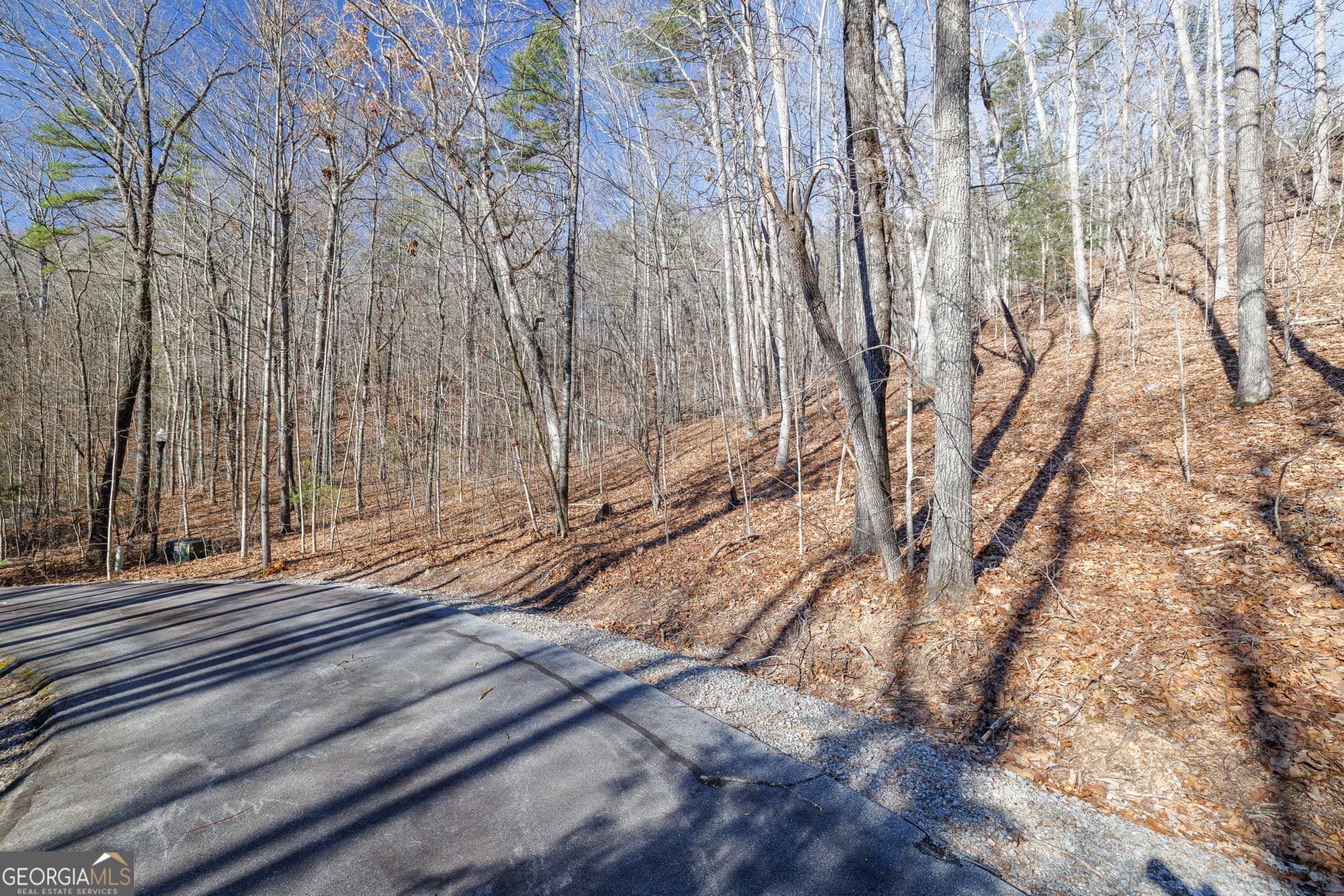 residential lot for sale at 0 Forest Canopy Way 11, Clayton, GA 30525 — photo 4