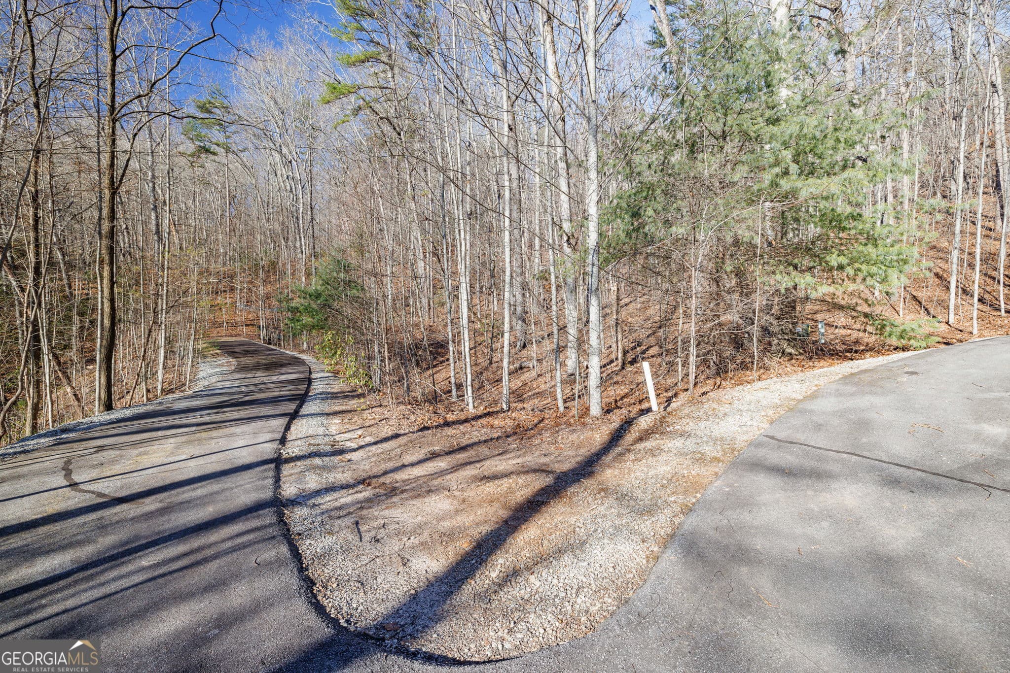 residential lot for sale at 0 Forest Canopy Way 11, Clayton, GA 30525 — photo 8