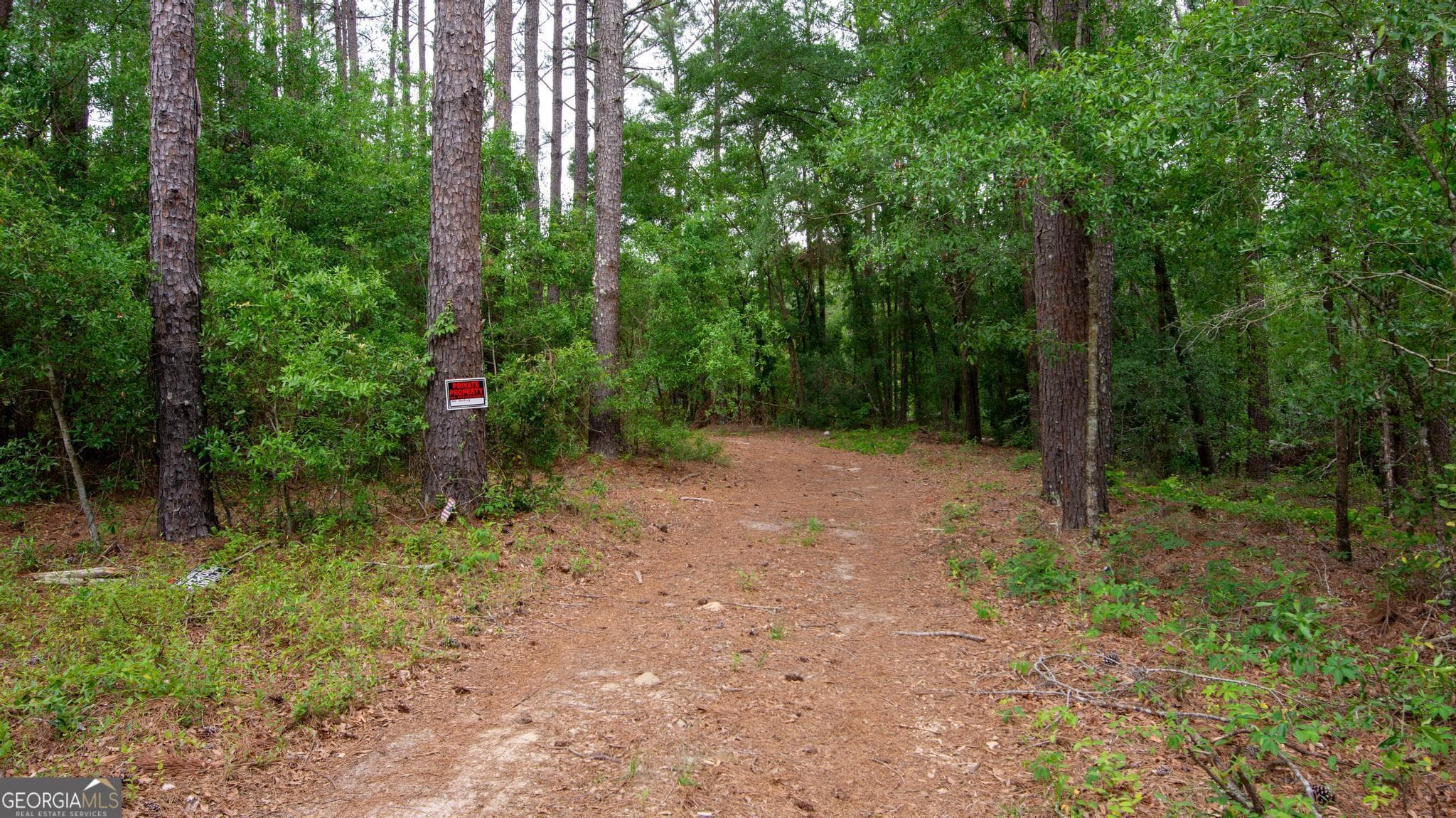 residential lot for sale at 760 Memphis Road, Metter, GA 30439 — photo 2