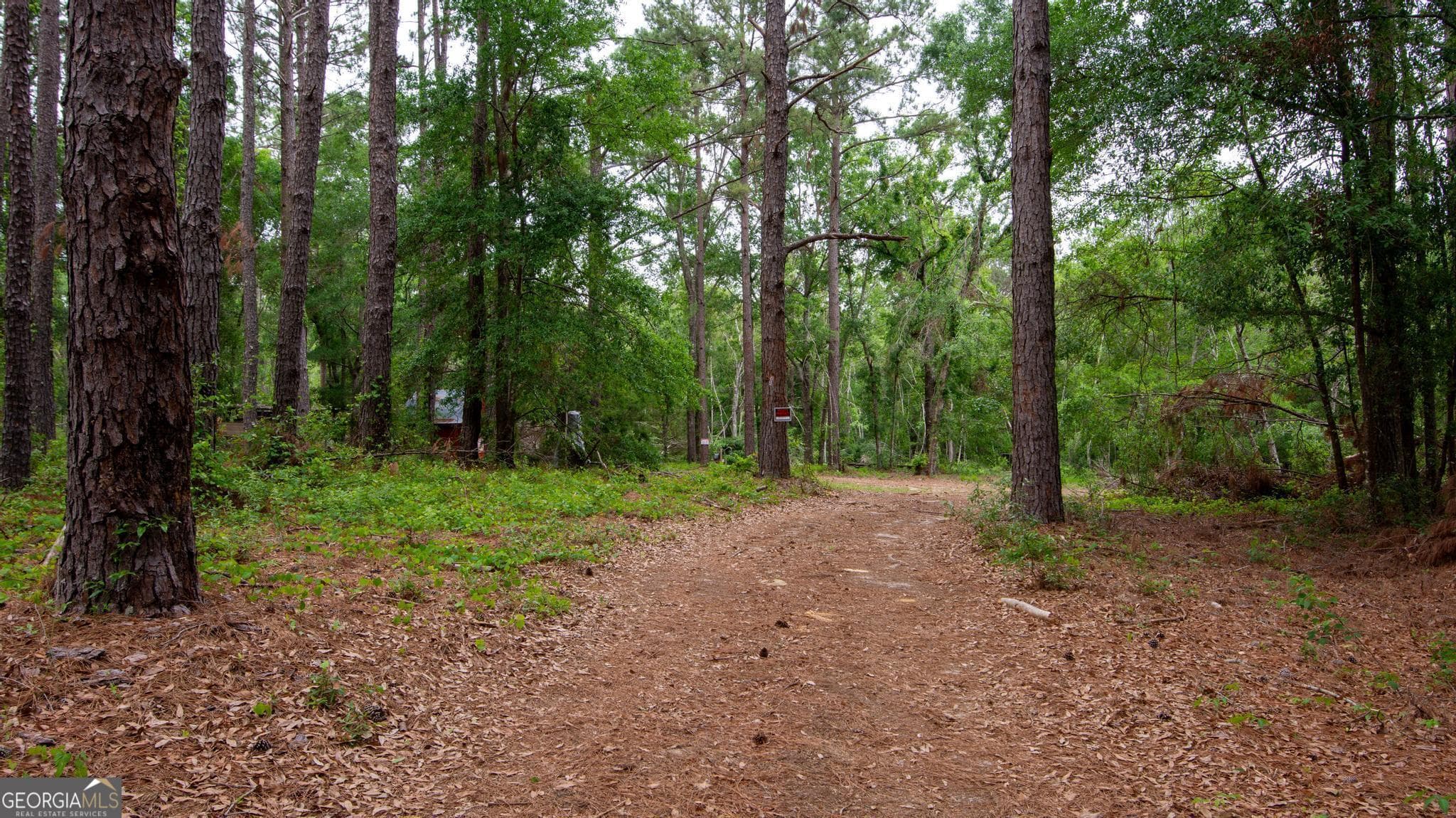residential lot for sale at 760 Memphis Road, Metter, GA 30439 — photo 3