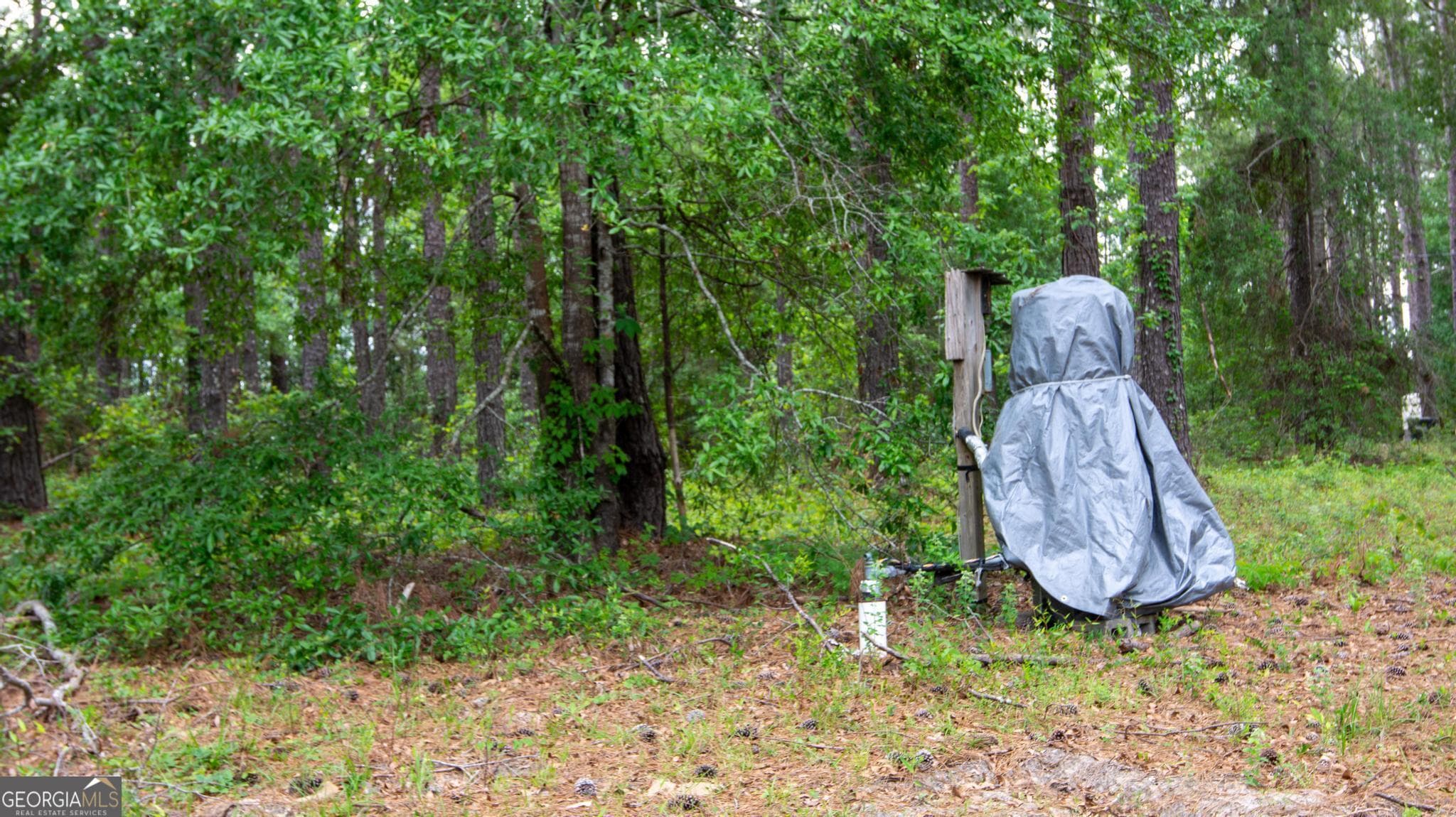 residential lot for sale at 760 Memphis Road, Metter, GA 30439 — photo 9