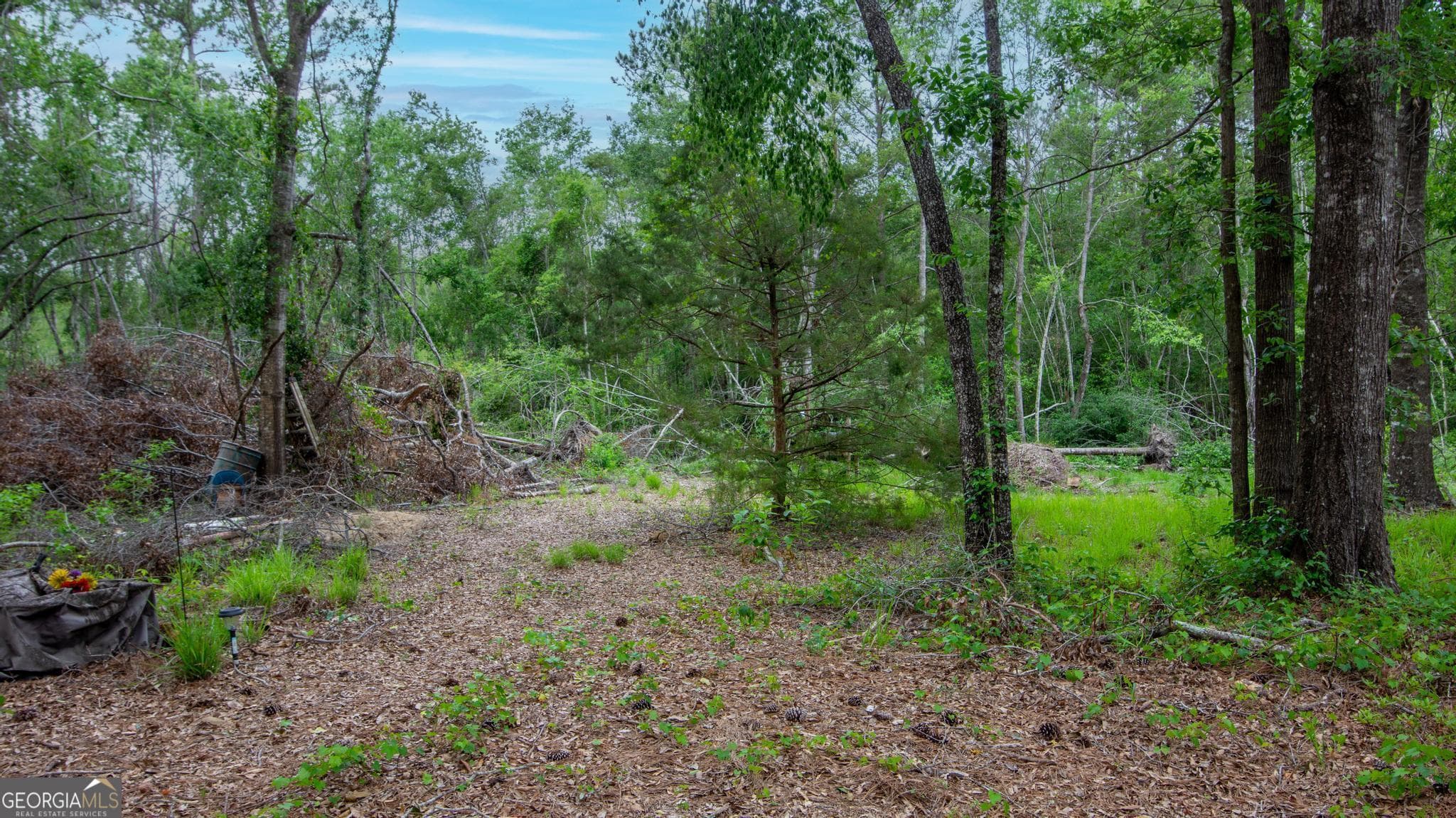 residential lot for sale at 760 Memphis Road, Metter, GA 30439 — photo 10