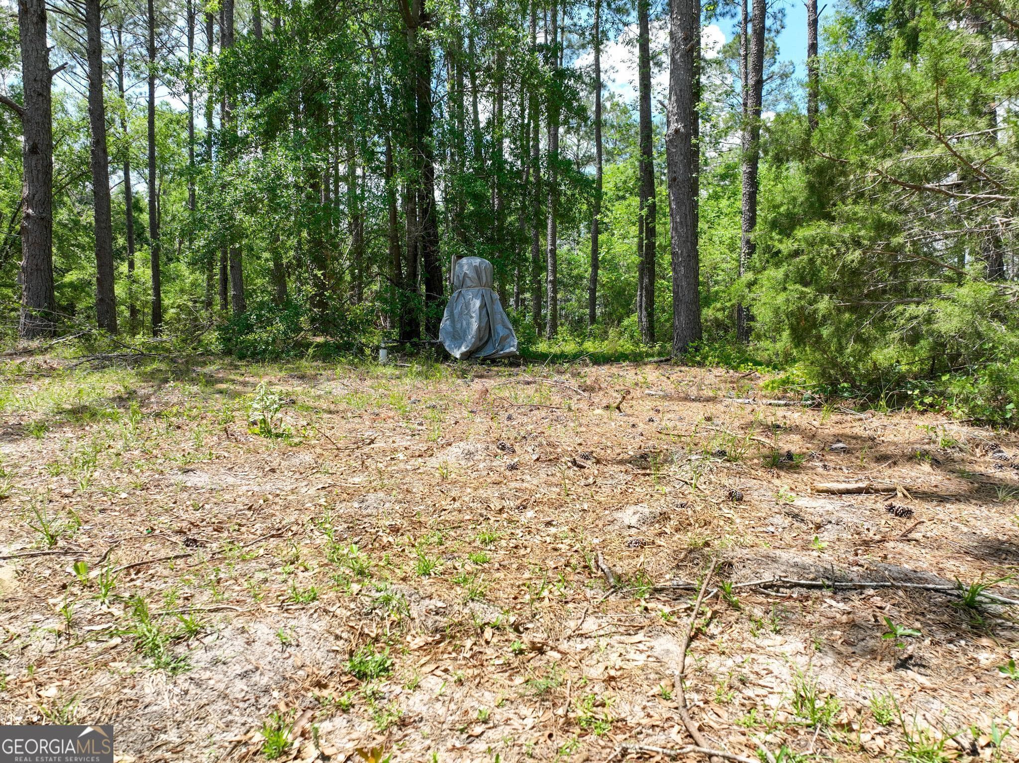 residential lot for sale at 760 Memphis Road, Metter, GA 30439 — photo 8