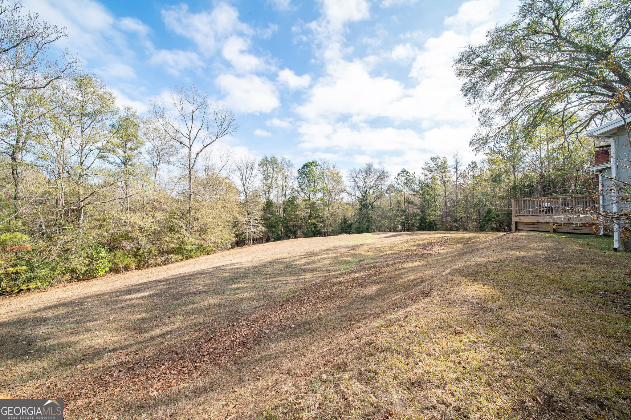 3 bedroom, 2 bathroom single family residence for rent at 161 Calhoun Road, Hamilton, GA 31811 for $5,454 a month — photo 9