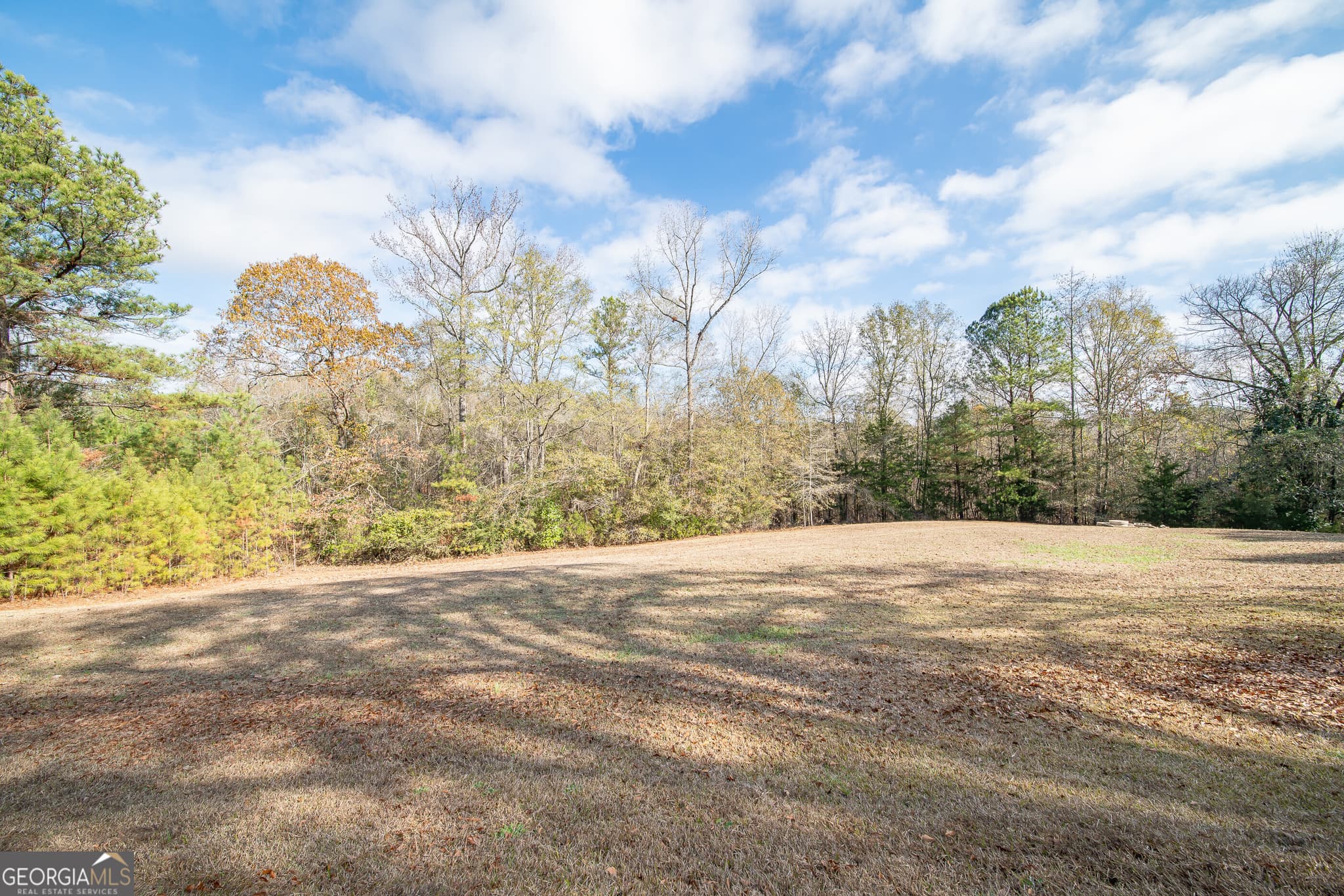 3 bedroom, 2 bathroom single family residence for rent at 161 Calhoun Road, Hamilton, GA 31811 for $5,454 a month — photo 10