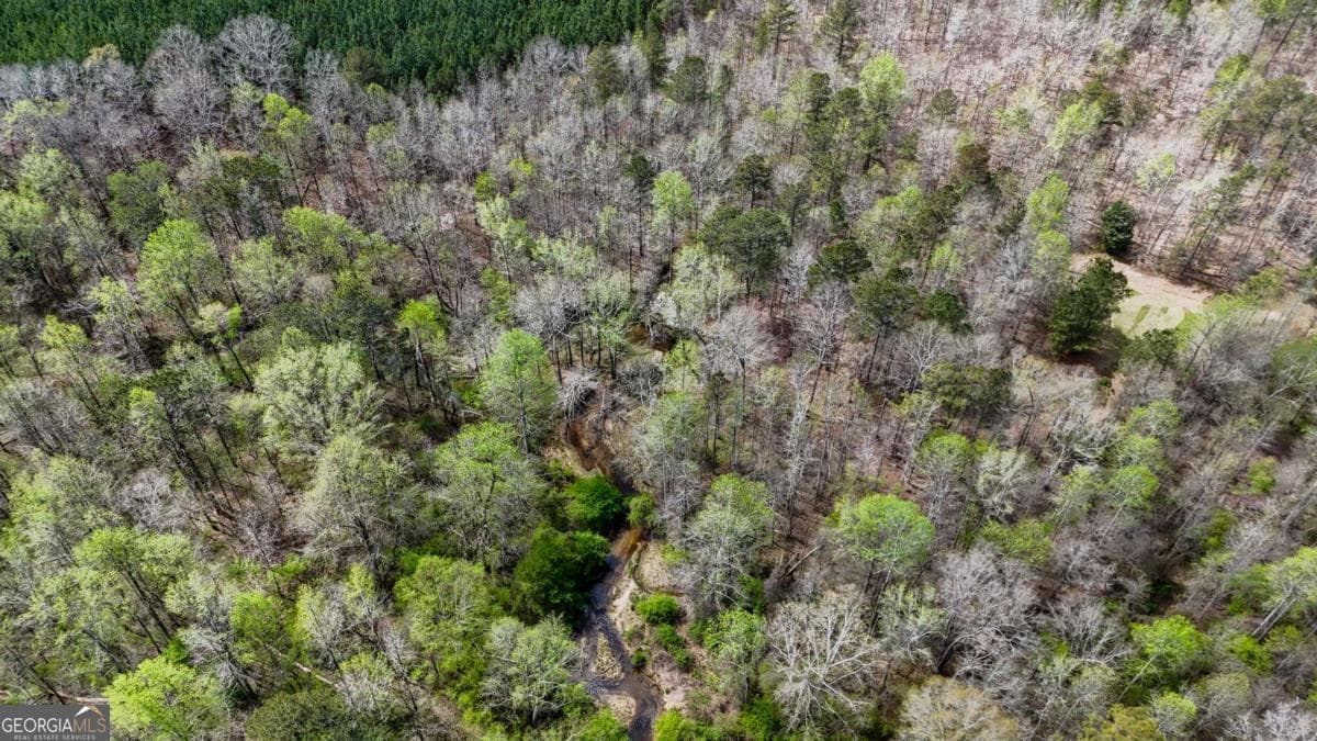 agriculture for sale at 0 Cross Plains Hulett, Carrollton, GA 30116 — photo 7