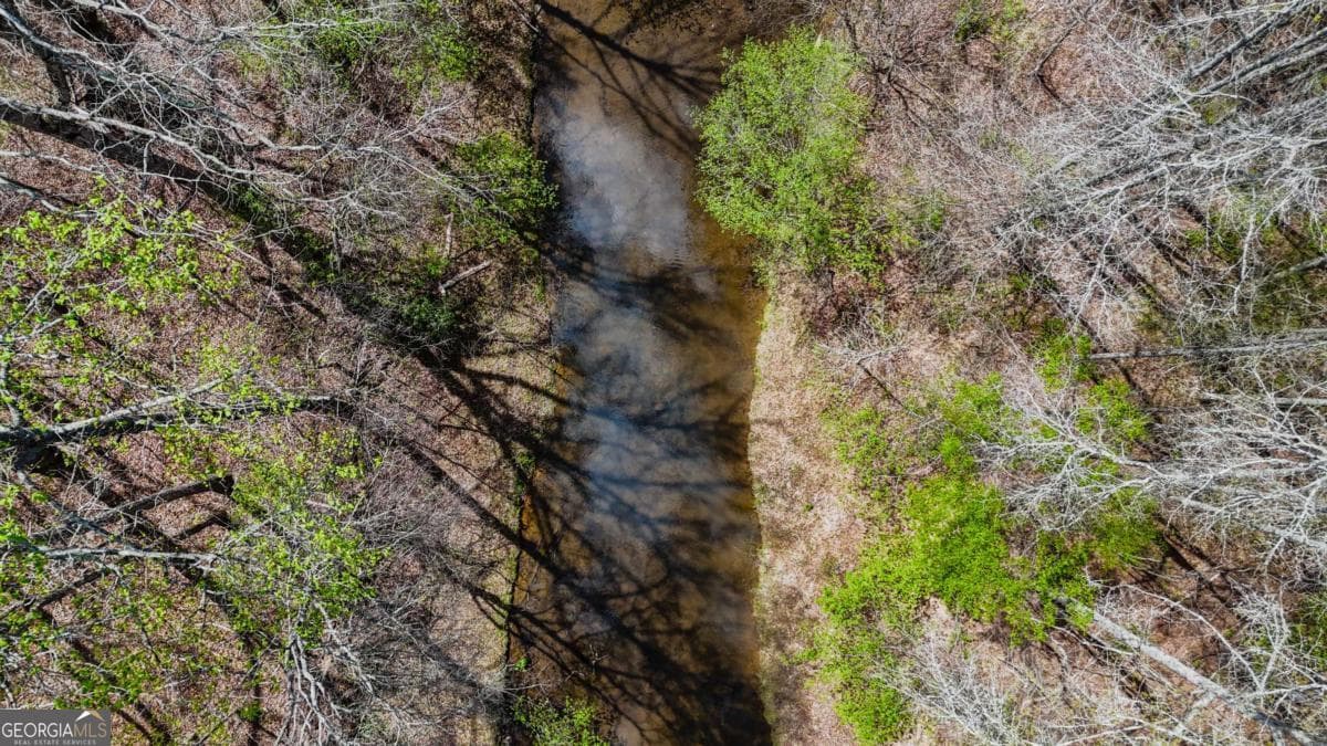 agriculture for sale at 0 Cross Plains Hulett, Carrollton, GA 30116 — photo 3