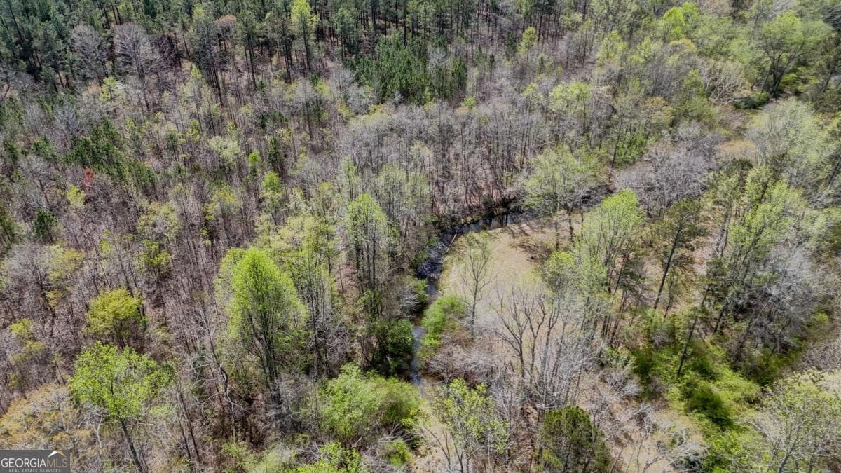 agriculture for sale at 0 Cross Plains Hulett, Carrollton, GA 30116 — photo 5