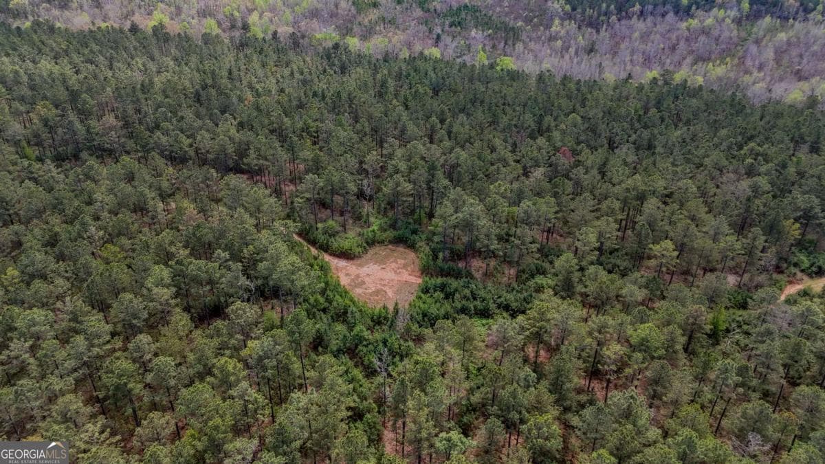 agriculture for sale at 0 Cross Plains Hulett, Carrollton, GA 30116 — photo 10