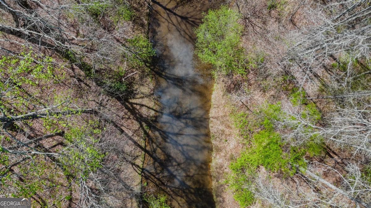 agriculture for sale at 0 Cross Plains Hulett, Carrollton, GA 30116 — photo 4