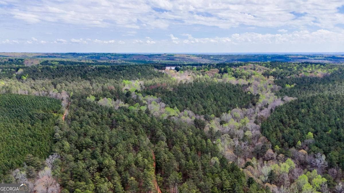 agriculture for sale at 0 Cross Plains Hulett, Carrollton, GA 30116 — photo 8