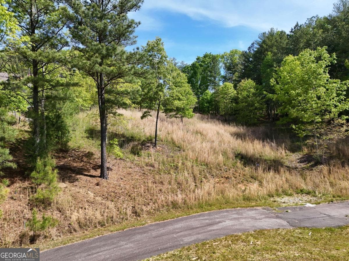 residential lot for sale at LOT 101 Big Knoll Drive, Blairsville, GA 30512 — photo 6