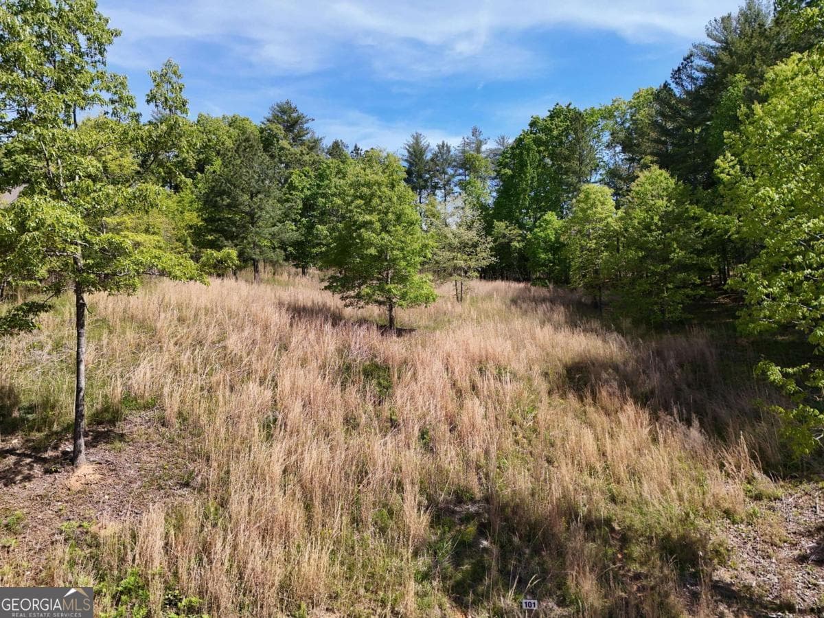 residential lot for sale at LOT 101 Big Knoll Drive, Blairsville, GA 30512 — photo 7