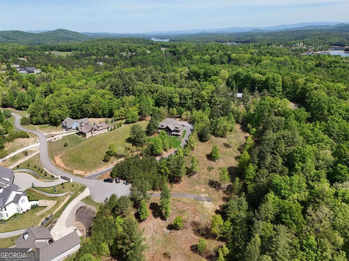 residential lot for sale at LOT 101 Big Knoll Drive, Blairsville, GA 30512 — photo 3