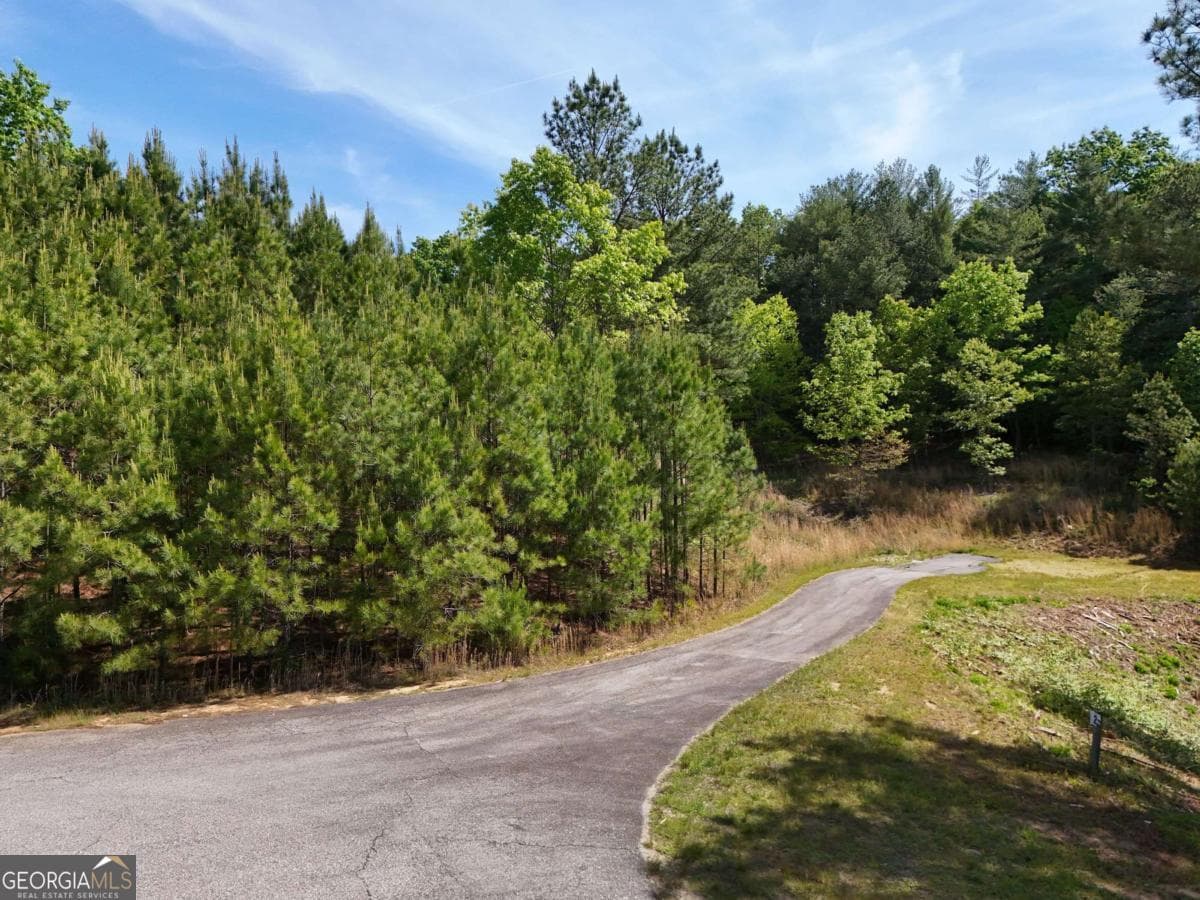 residential lot for sale at LOT 101 Big Knoll Drive, Blairsville, GA 30512 — photo 5