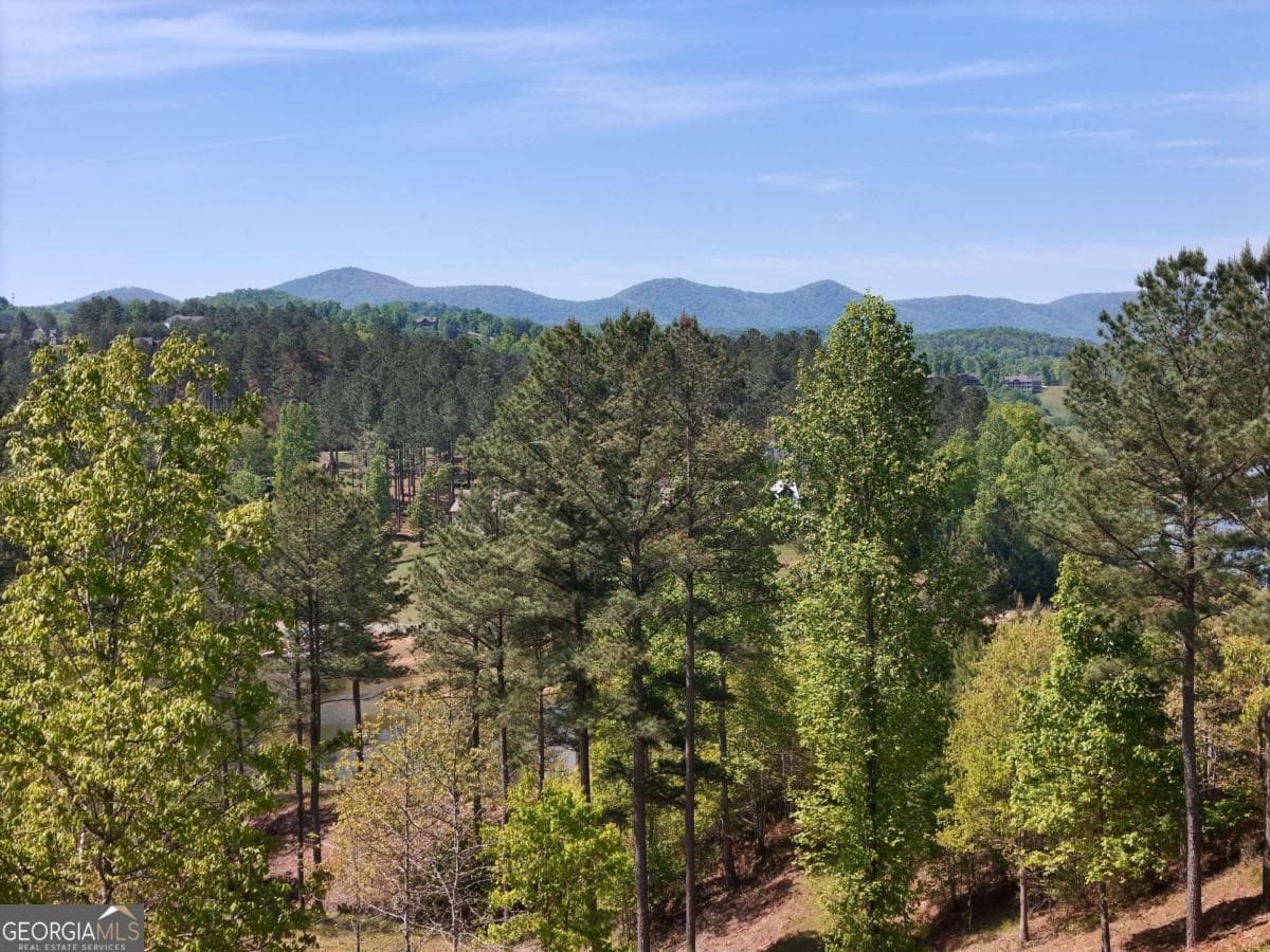 residential lot for sale at LOT 101 Big Knoll Drive, Blairsville, GA 30512 — photo 9