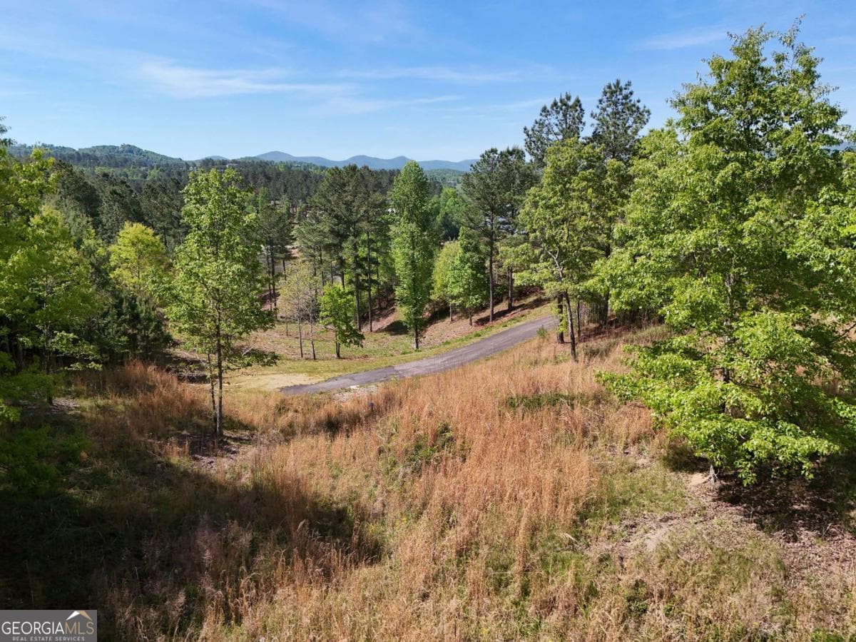 residential lot for sale at LOT 101 Big Knoll Drive, Blairsville, GA 30512 — photo 8